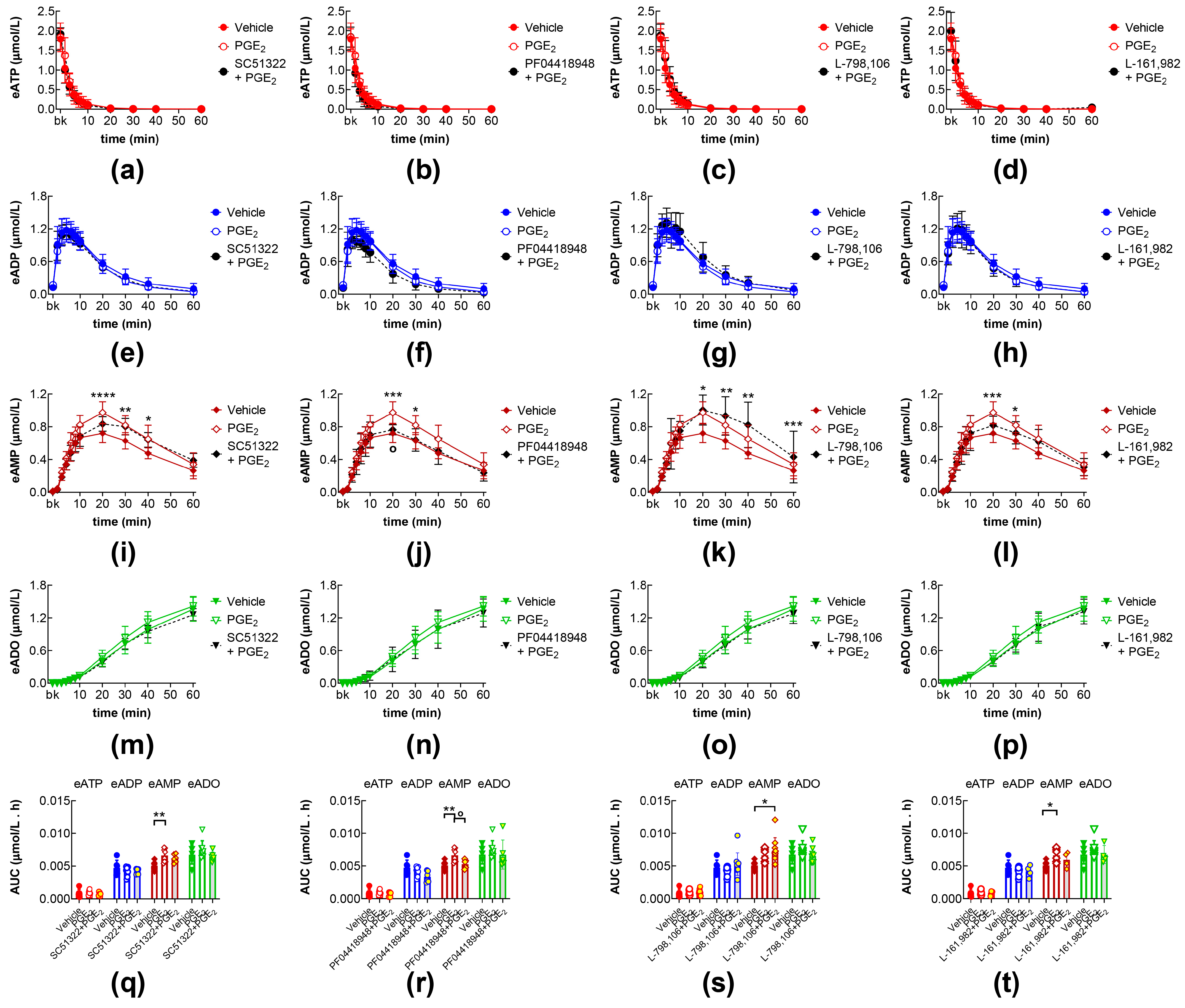 Ijms 26 08023 g003 Ijms 26 08023 g003