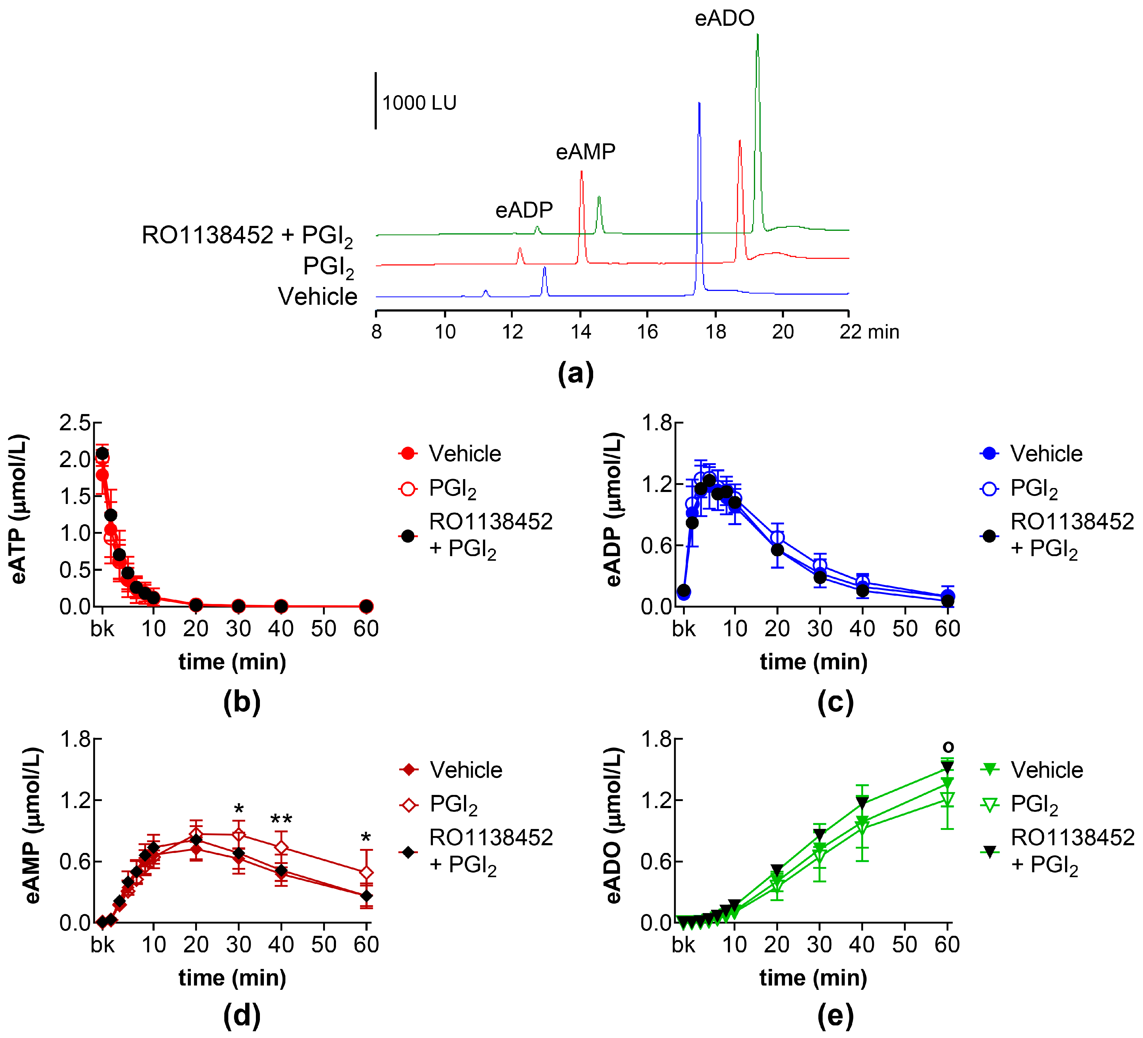 Ijms 26 08023 g004 Ijms 26 08023 g004