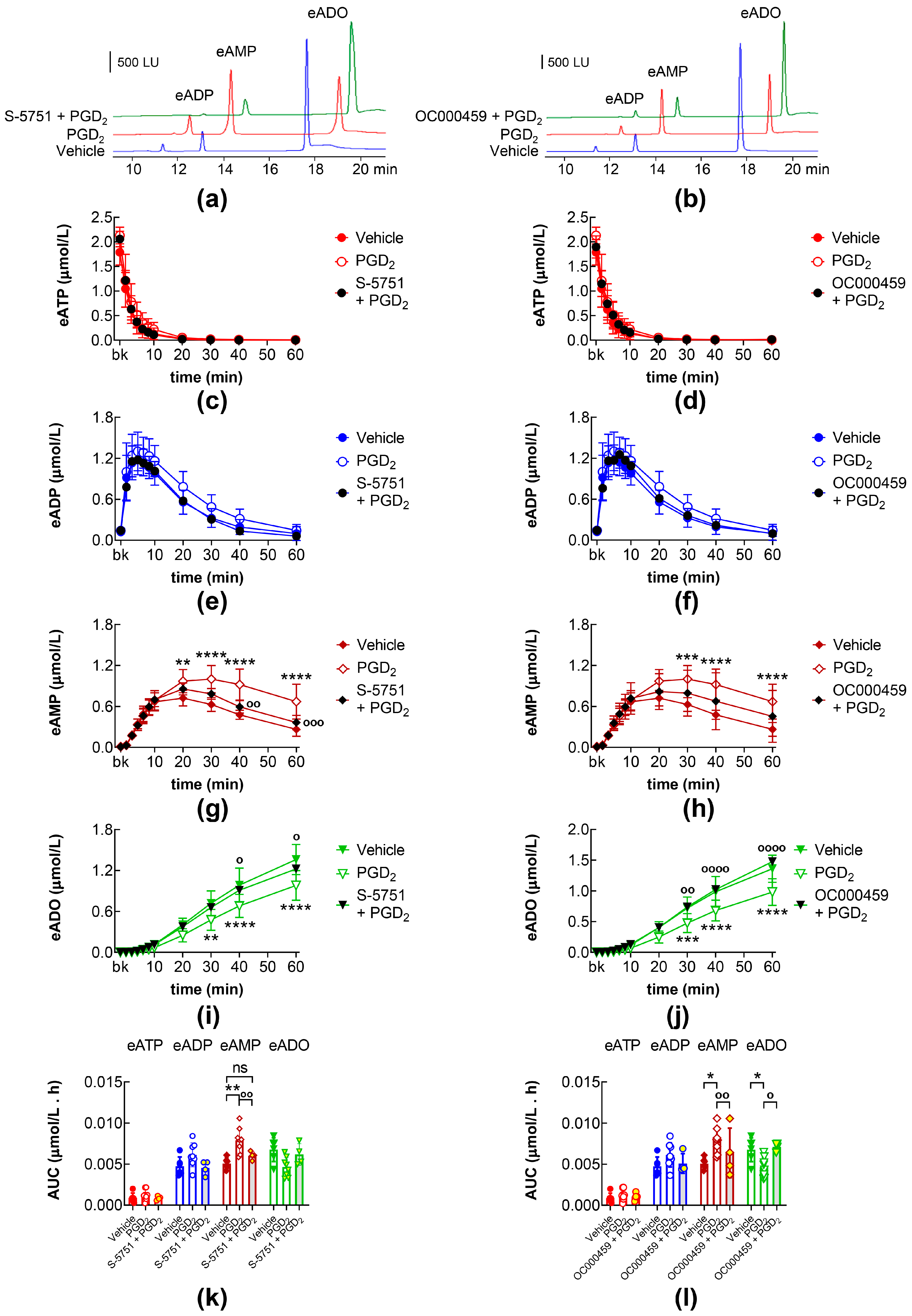 Ijms 26 08023 g005 Ijms 26 08023 g005