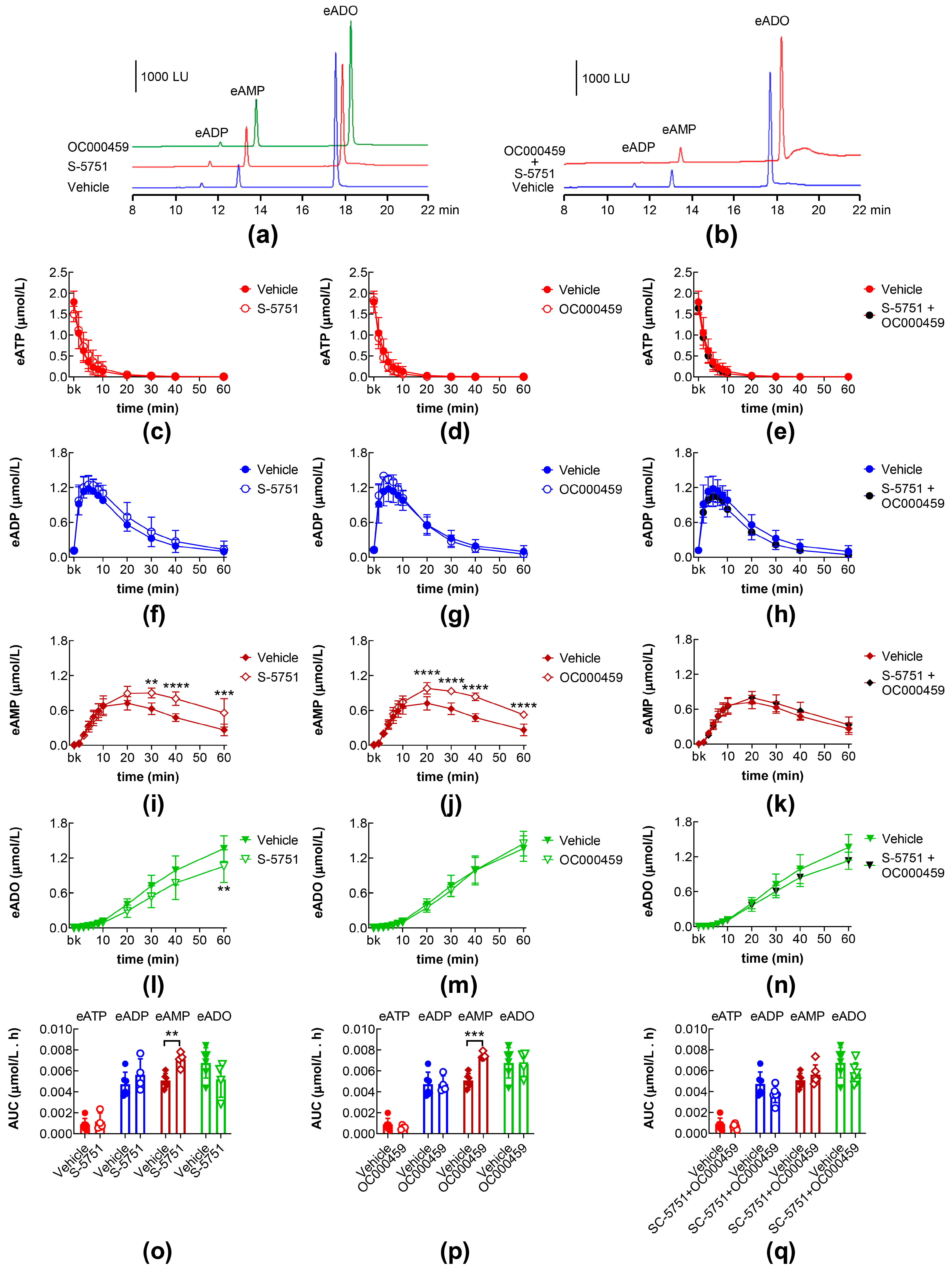 Ijms 26 08023 g006 Ijms 26 08023 g006