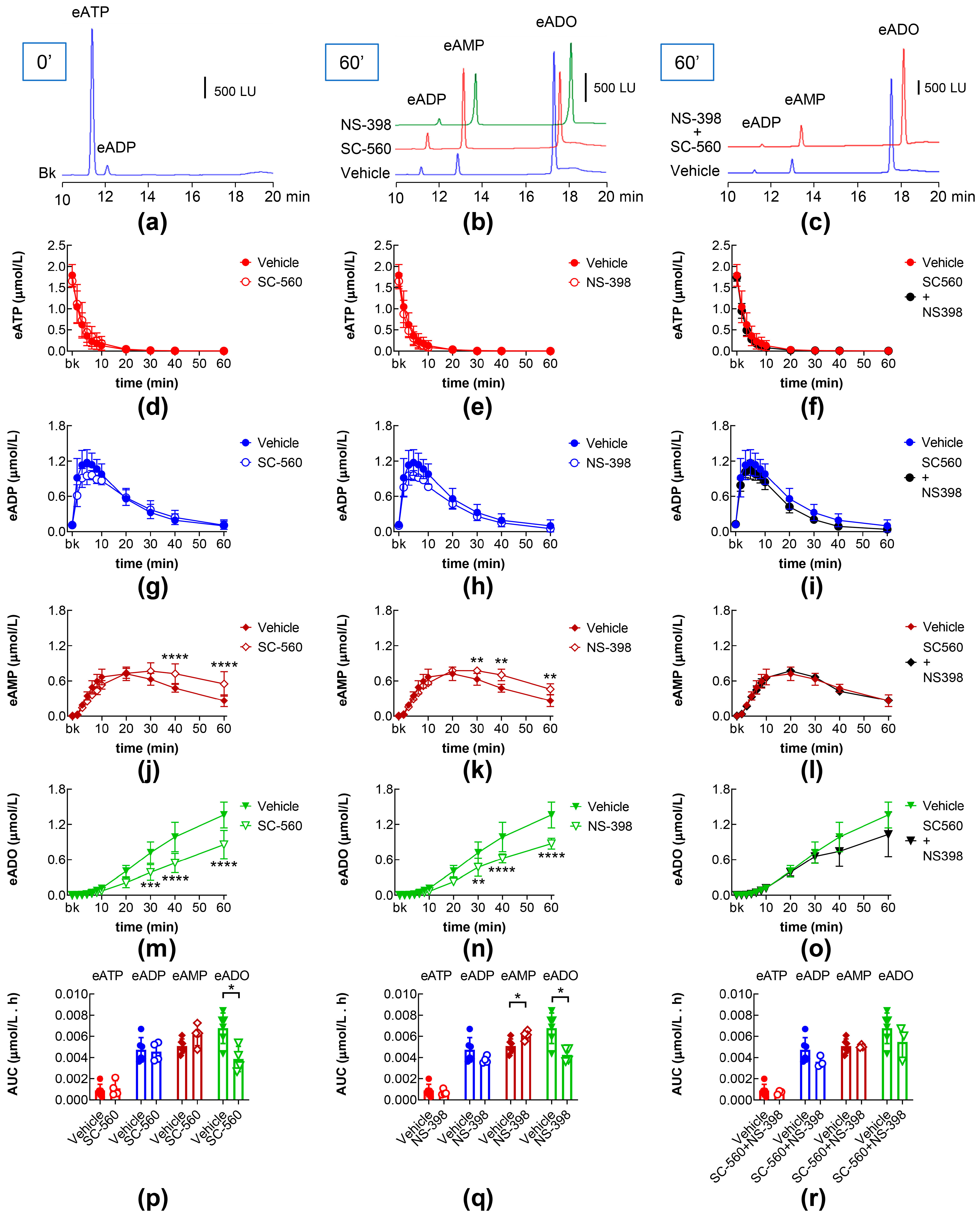 Ijms 26 08023 g007 Ijms 26 08023 g007