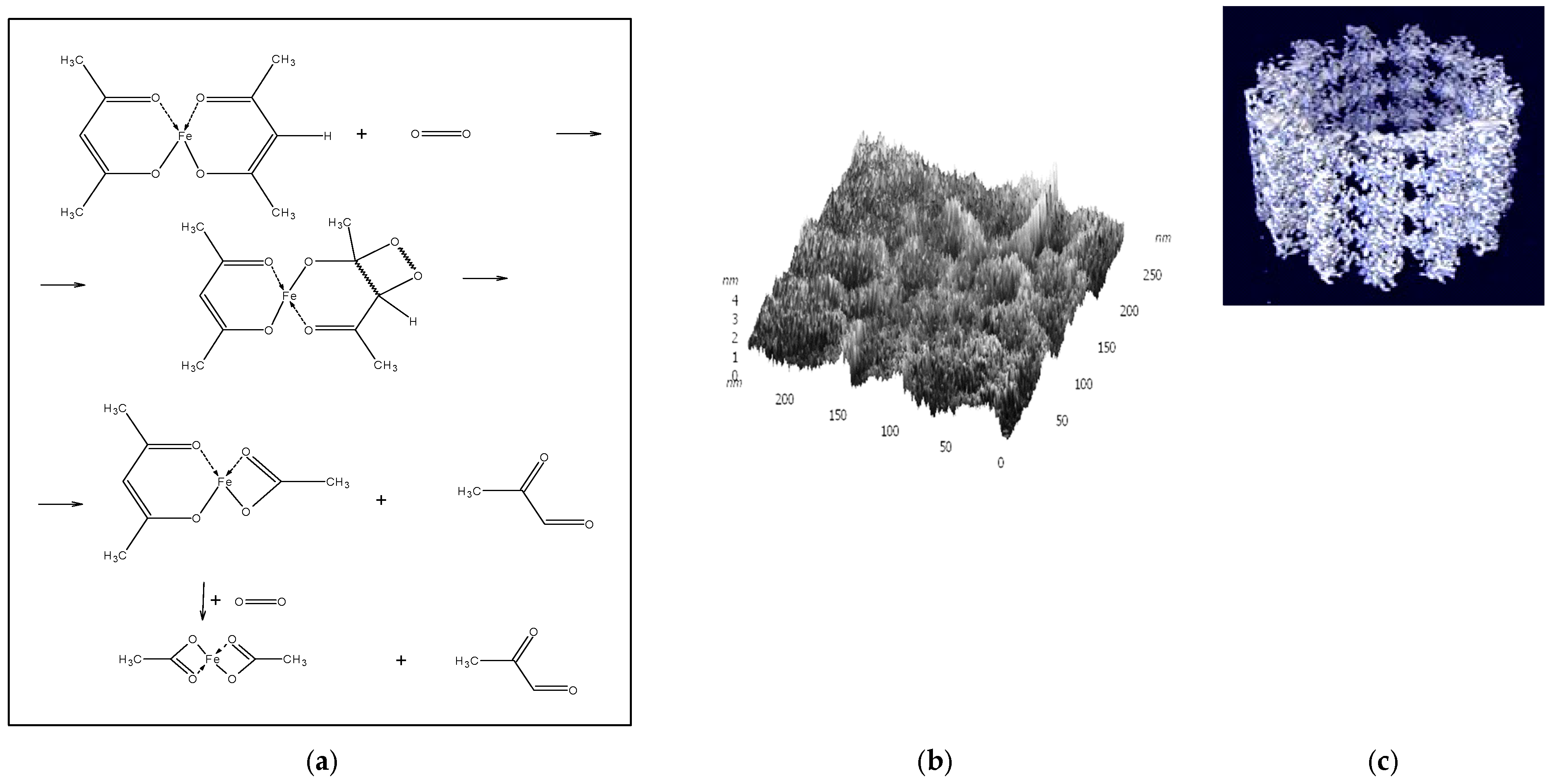 Ijms 26 08024 sch002