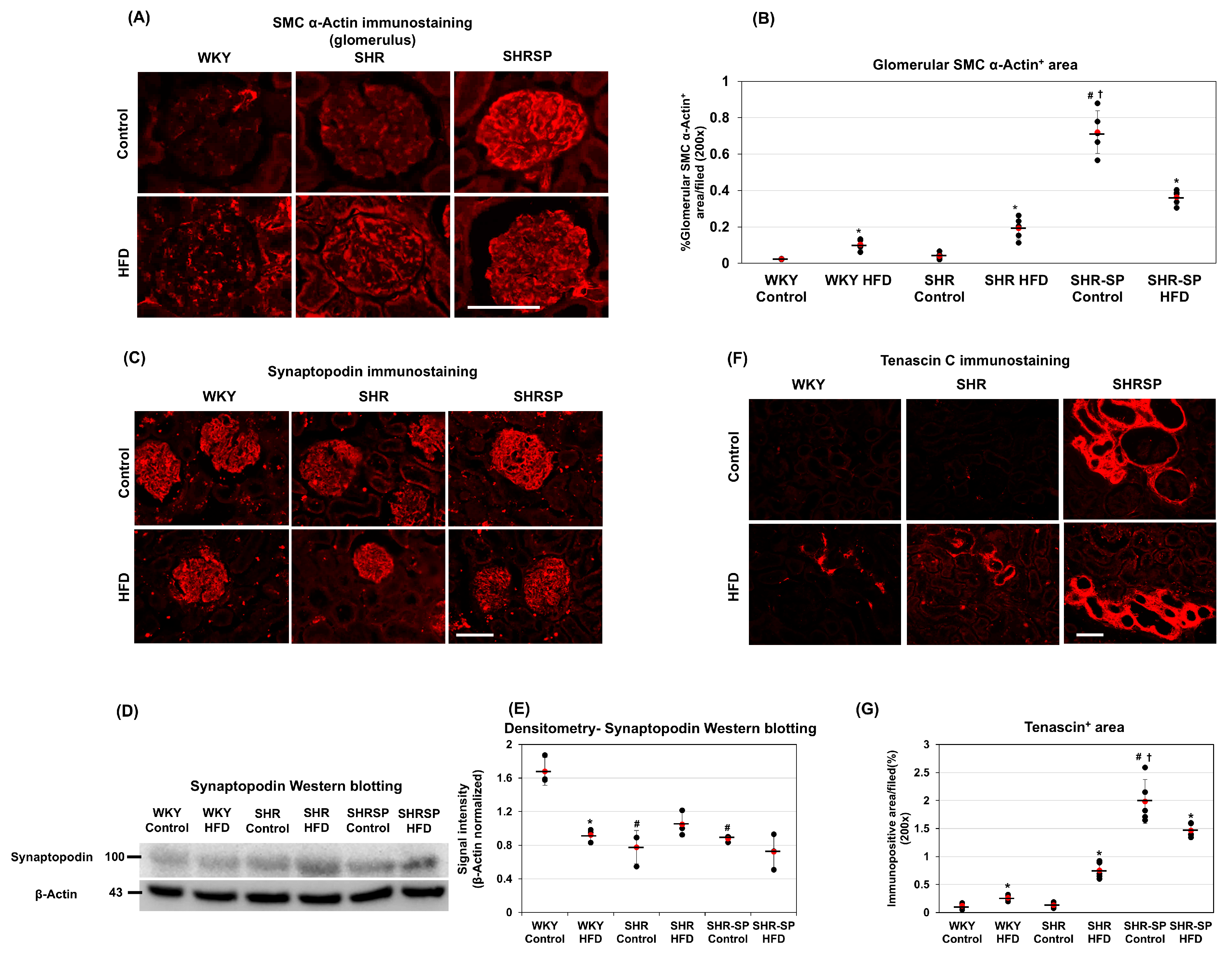 Ijms 26 08031 g002 Ijms 26 08031 g002