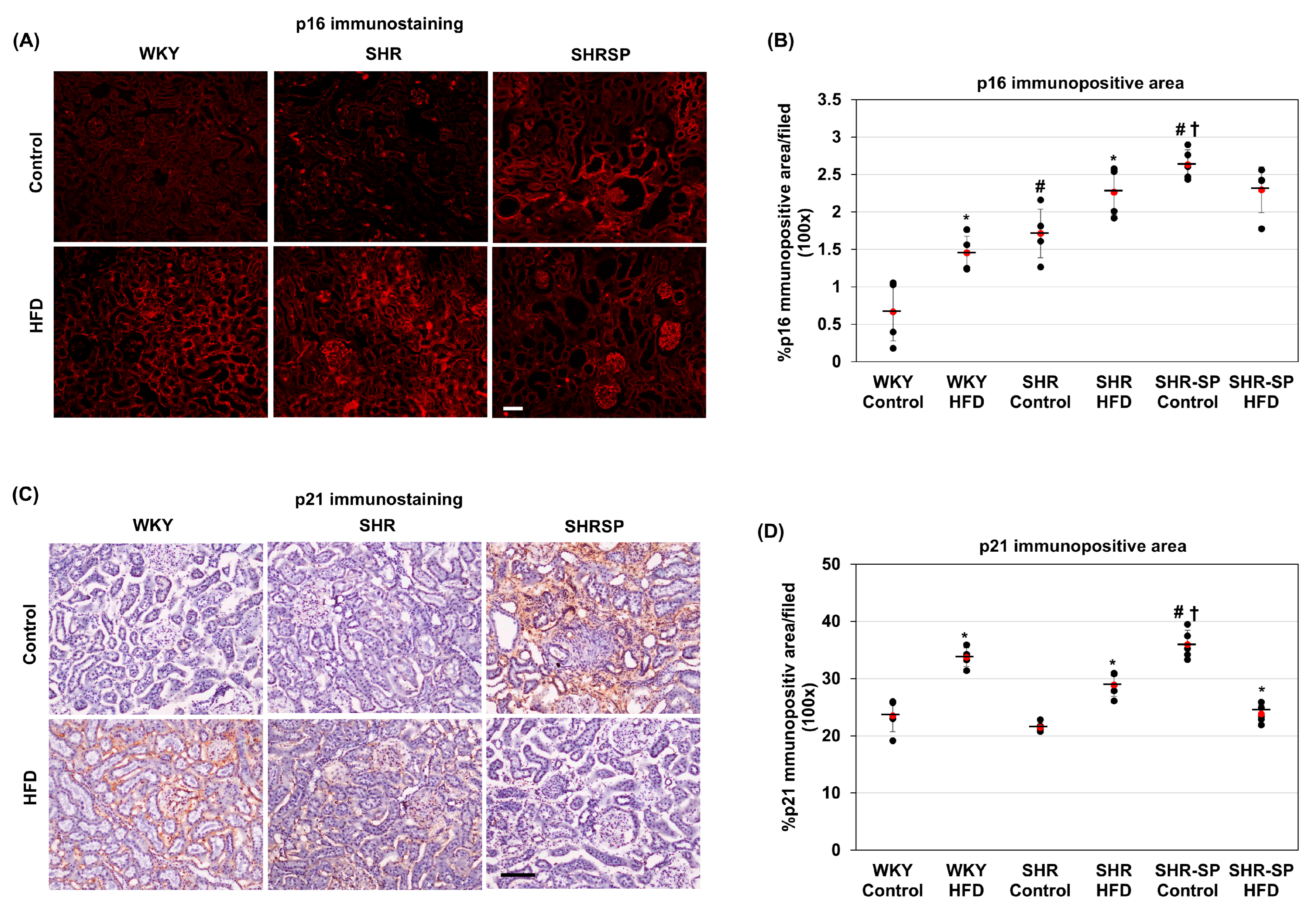 Ijms 26 08031 g003 Ijms 26 08031 g003