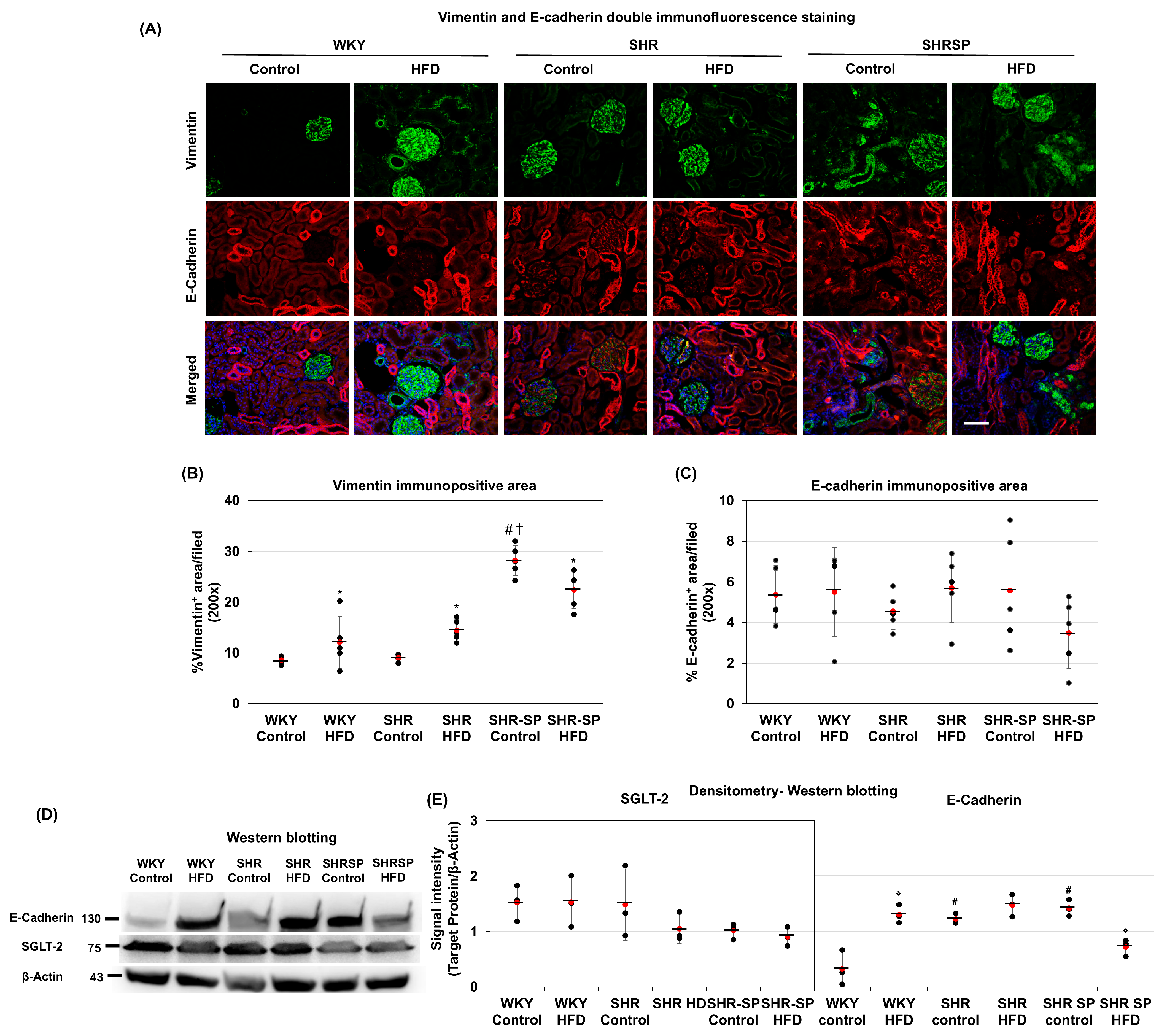 Ijms 26 08031 g005 Ijms 26 08031 g005