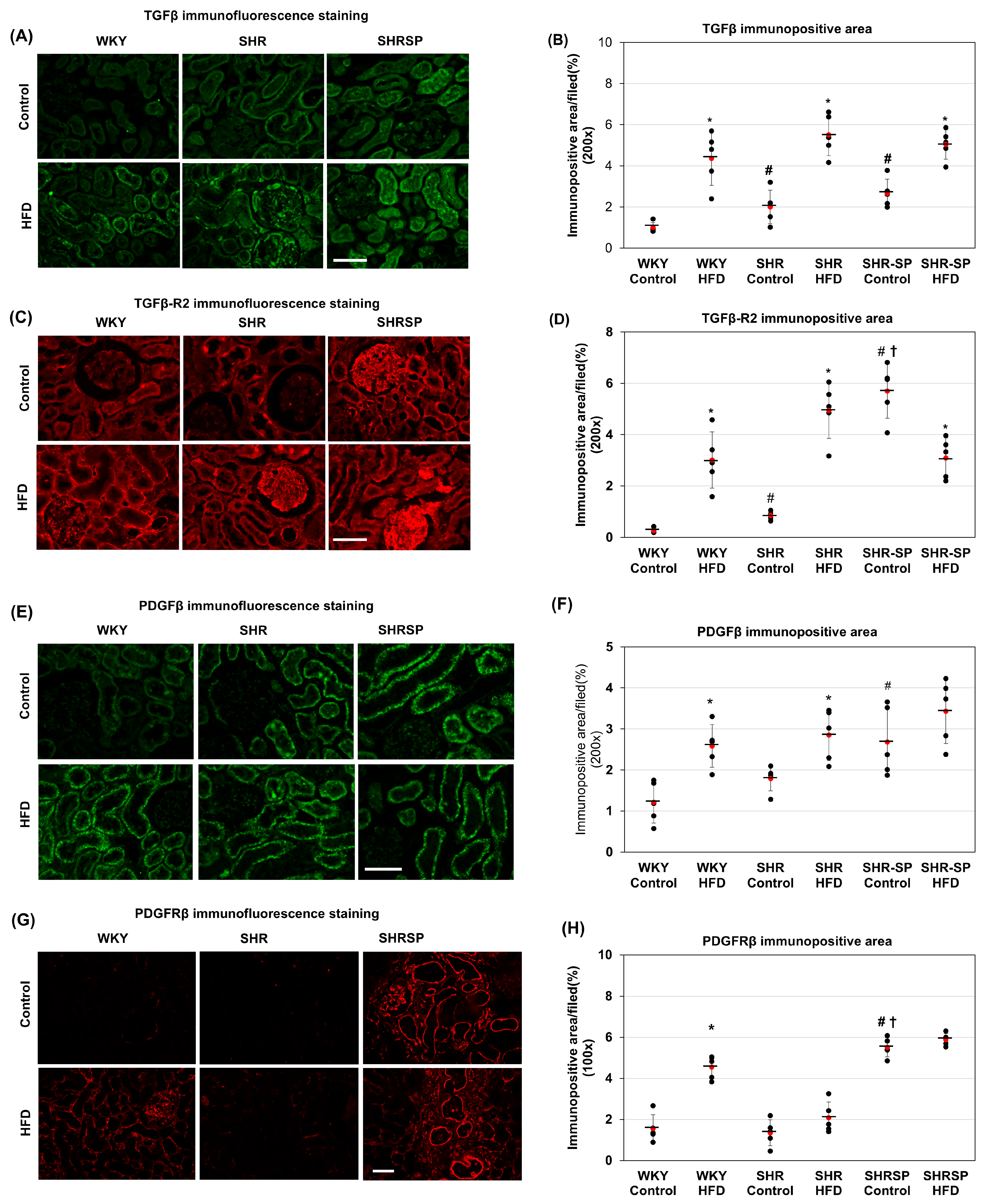 Ijms 26 08031 g006 Ijms 26 08031 g006