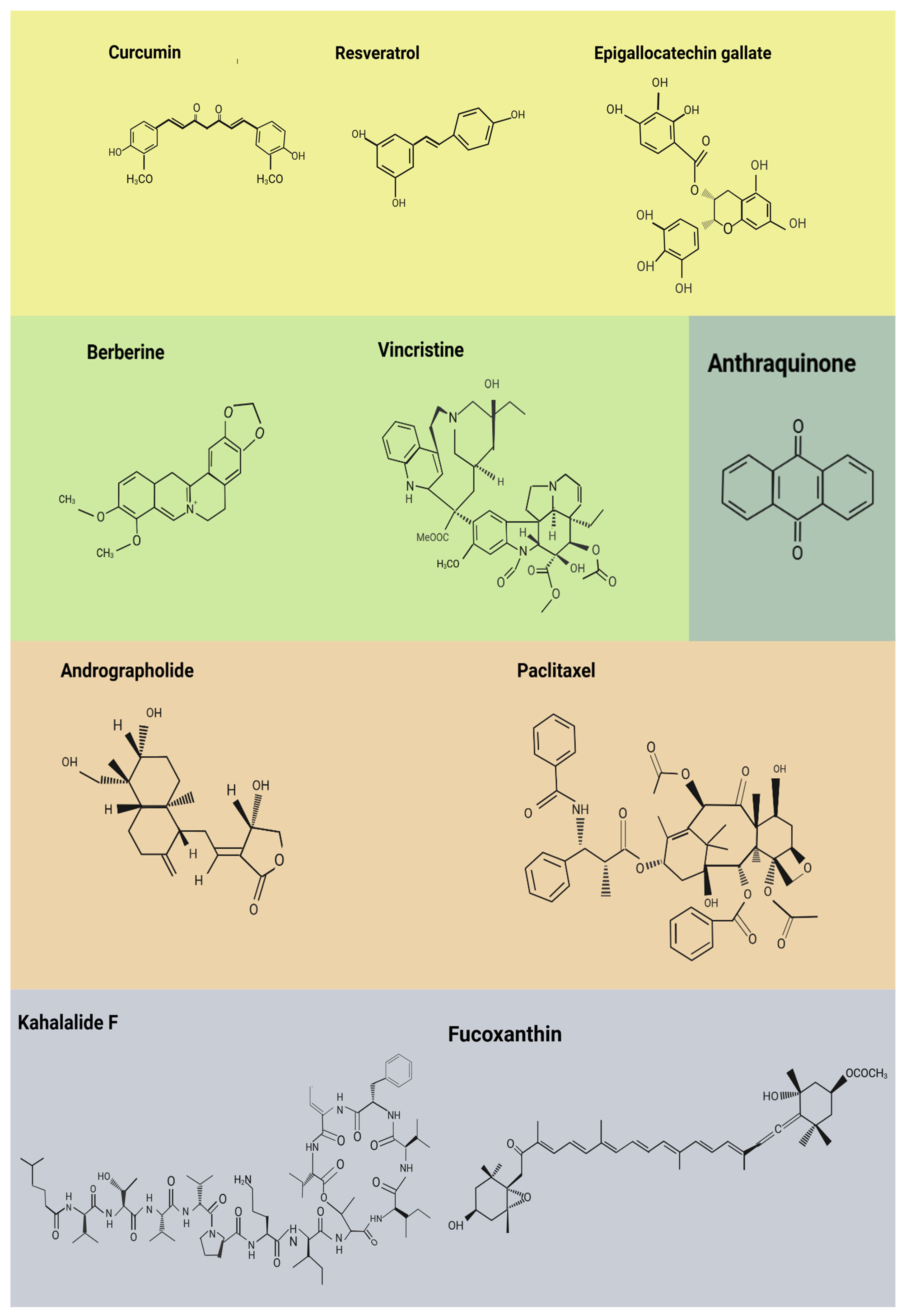 Ijms 26 08037 g003 Ijms 26 08037 g003