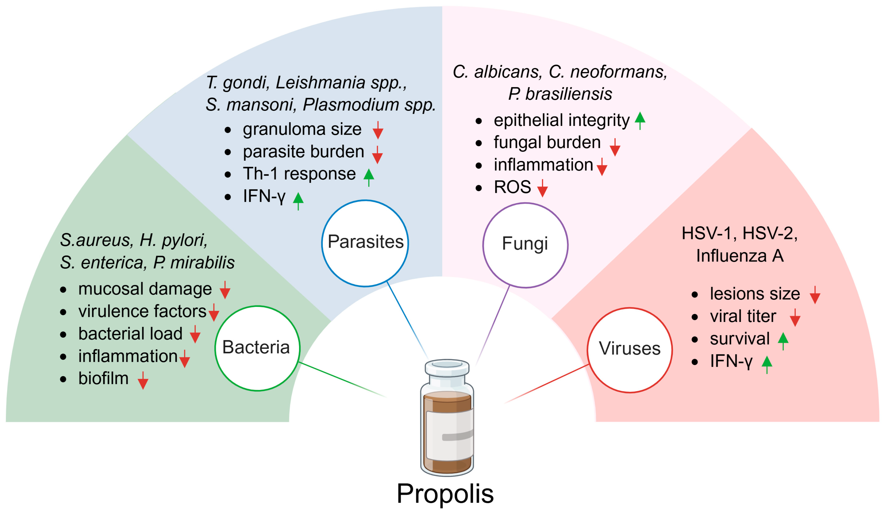 Ijms 26 08041 g002 Ijms 26 08041 g002