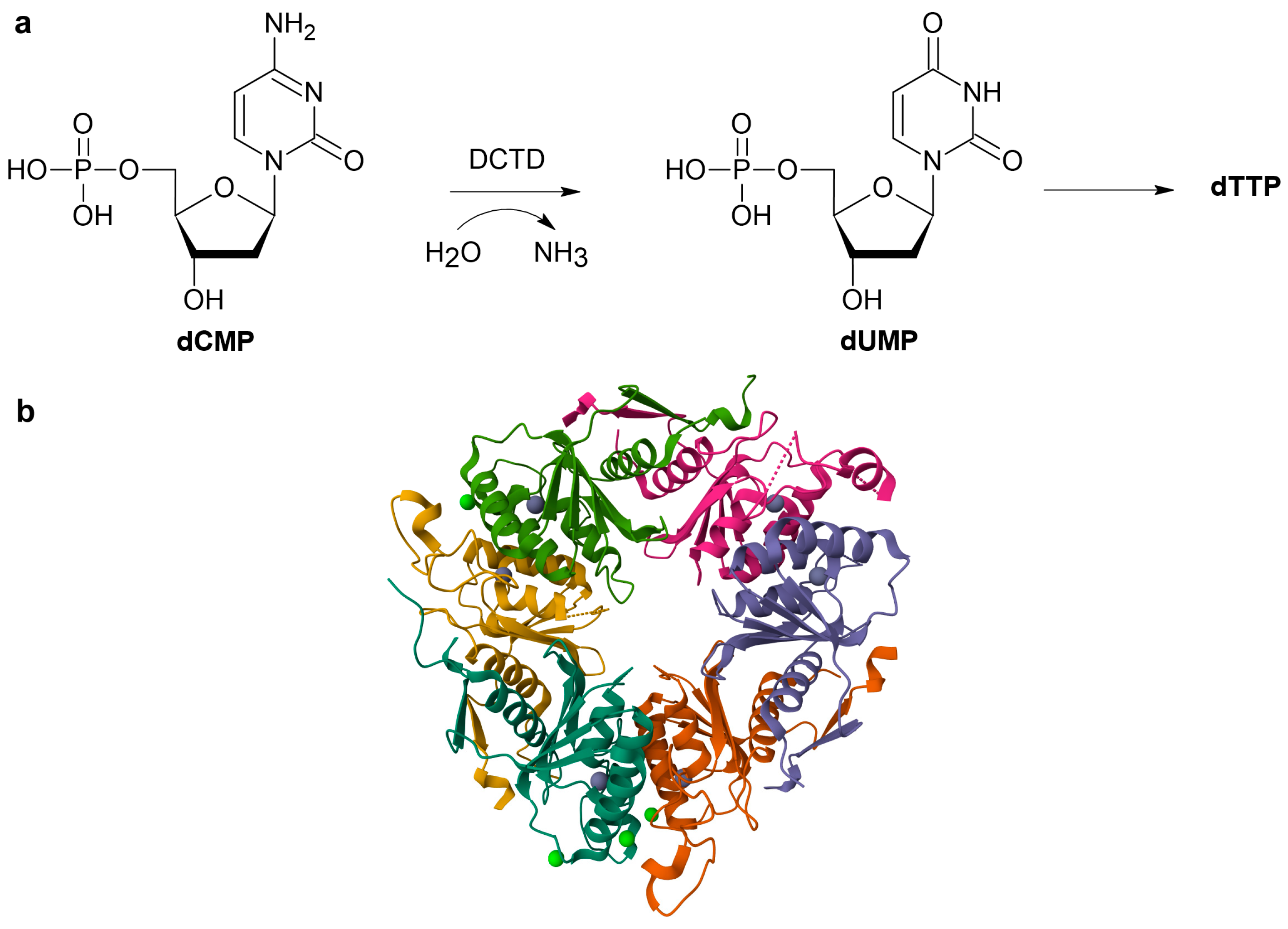Ijms 26 08045 g002 Ijms 26 08045 g002