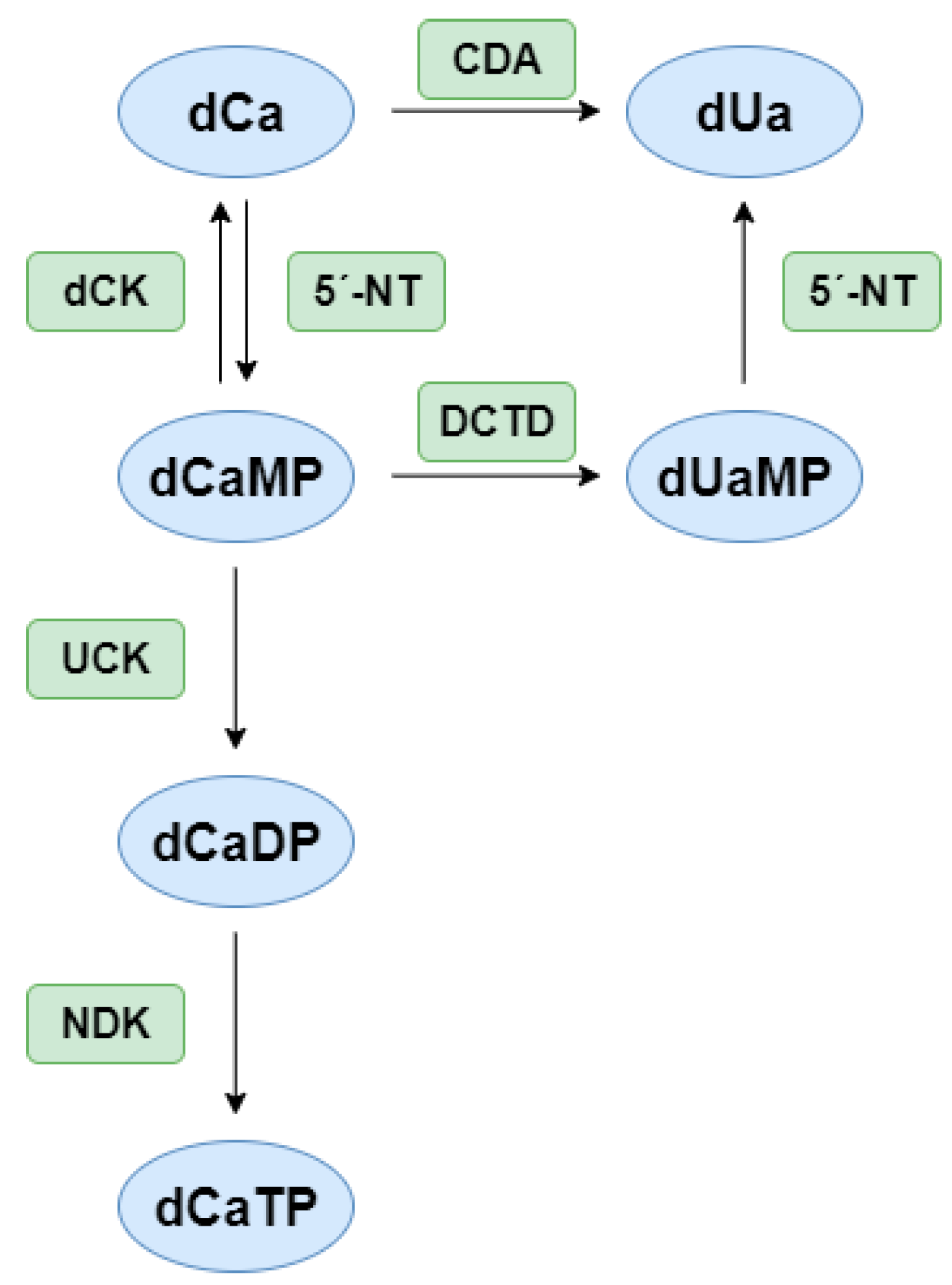 Ijms 26 08045 g003 Ijms 26 08045 g003