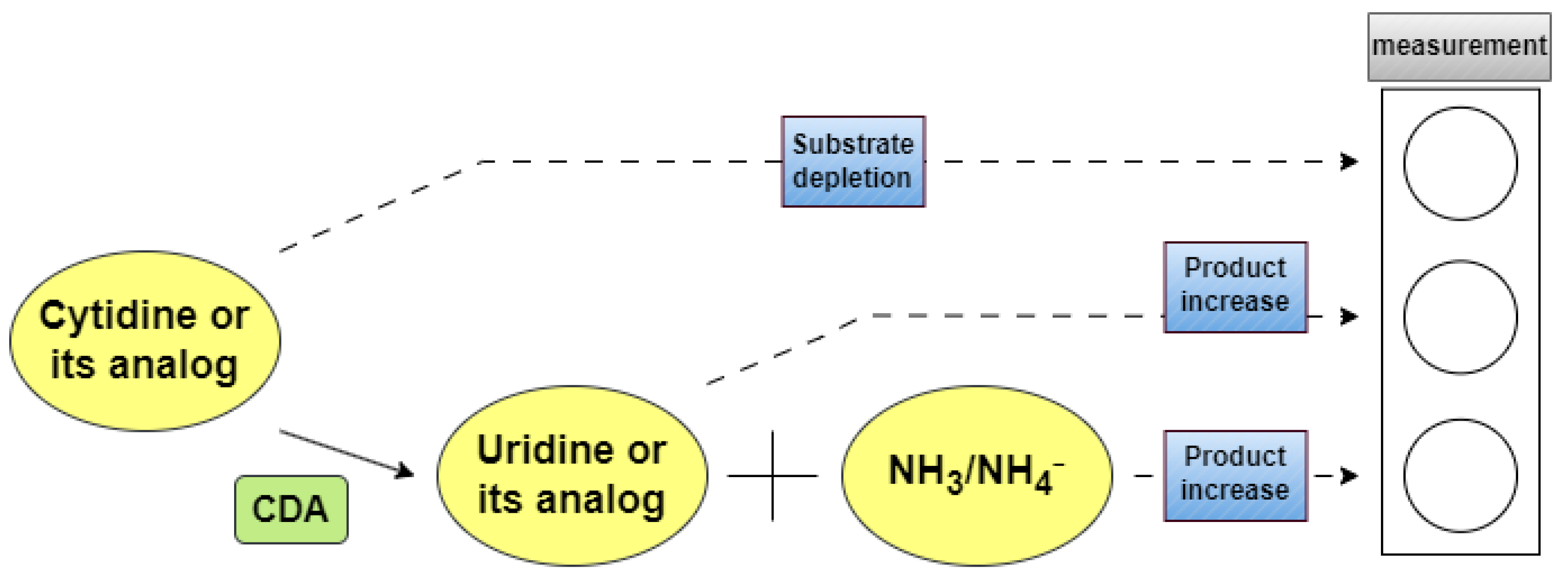 Ijms 26 08045 g004 Ijms 26 08045 g004