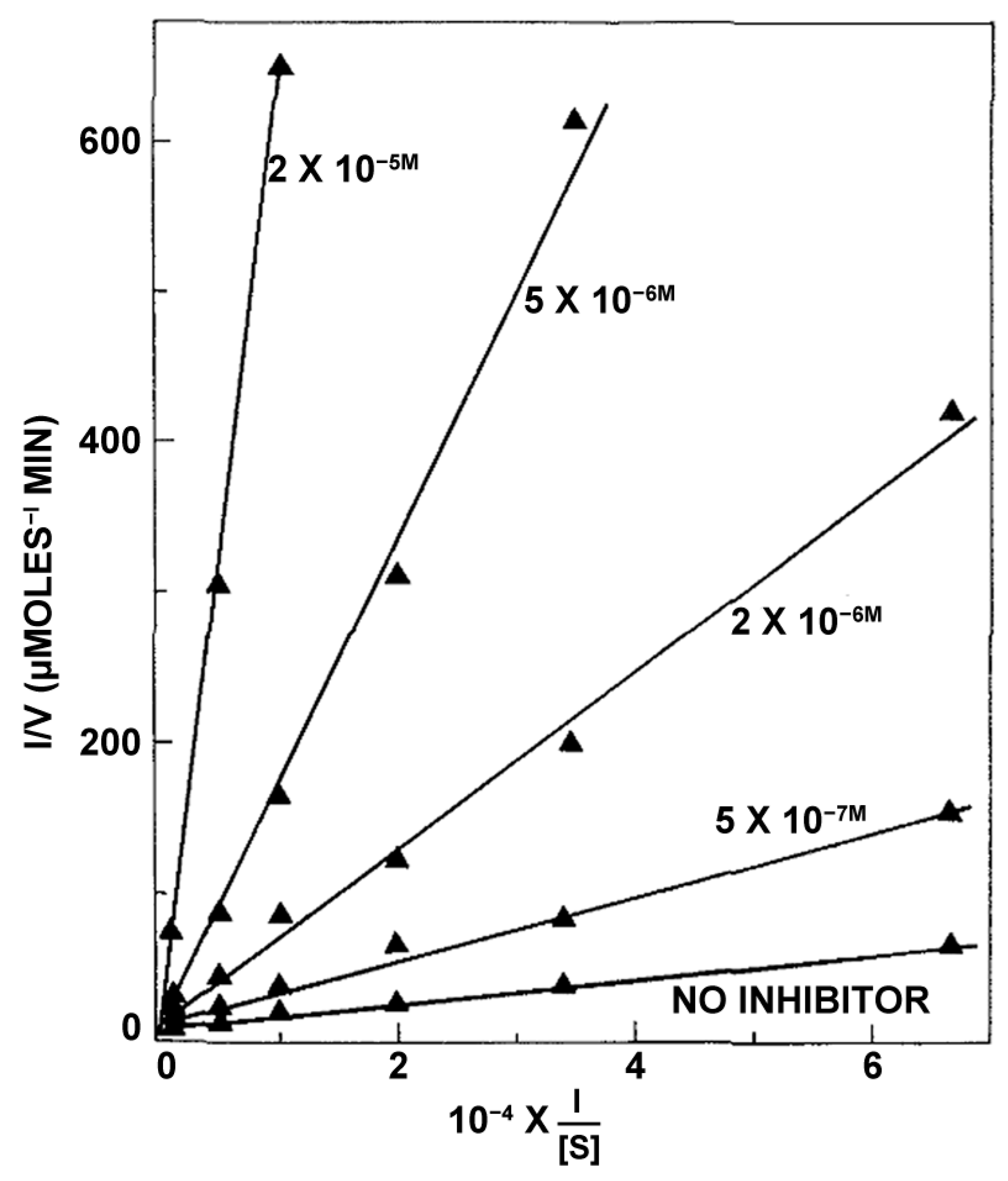 Ijms 26 08045 g005 Ijms 26 08045 g005