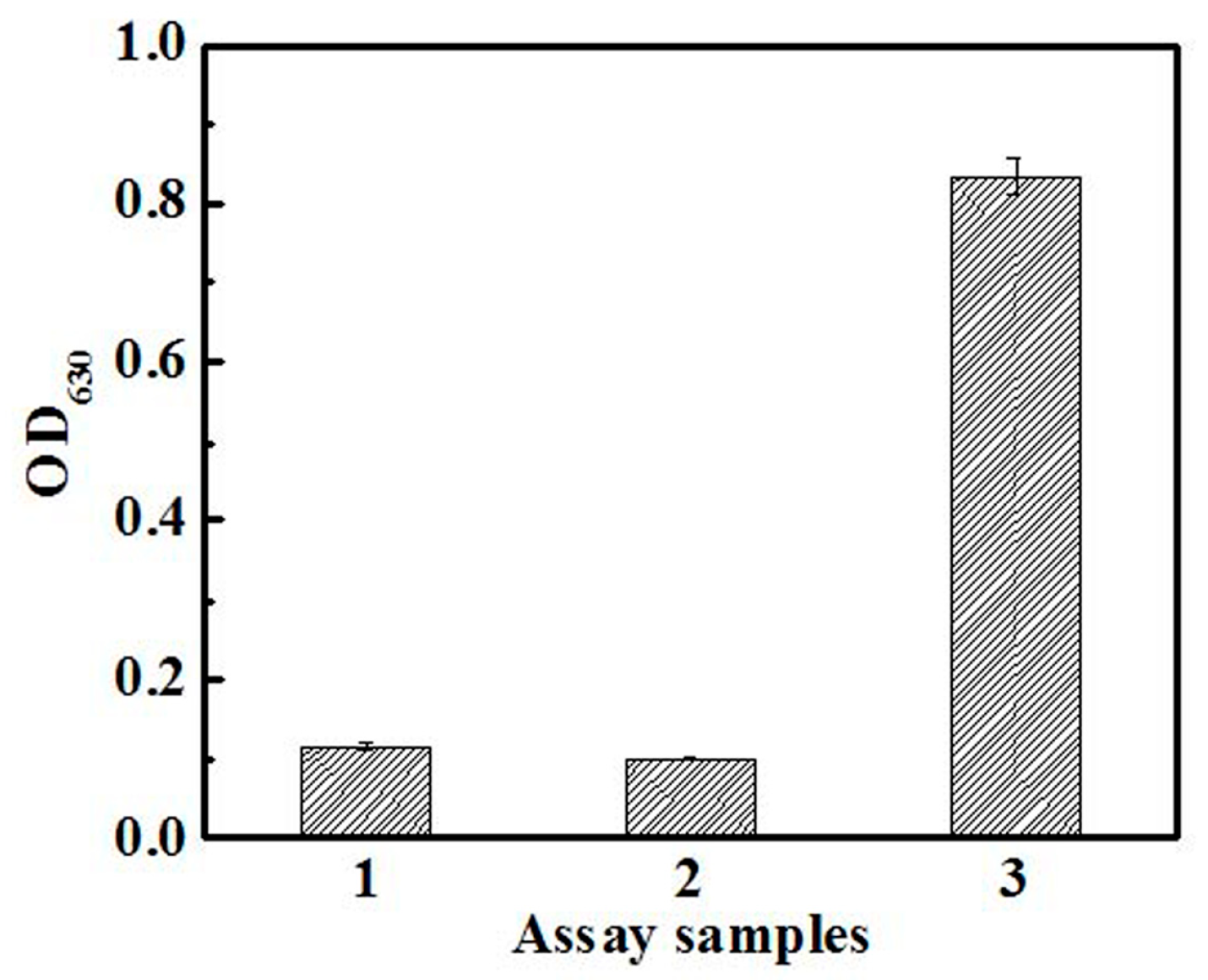 Ijms 26 08045 g006 Ijms 26 08045 g006