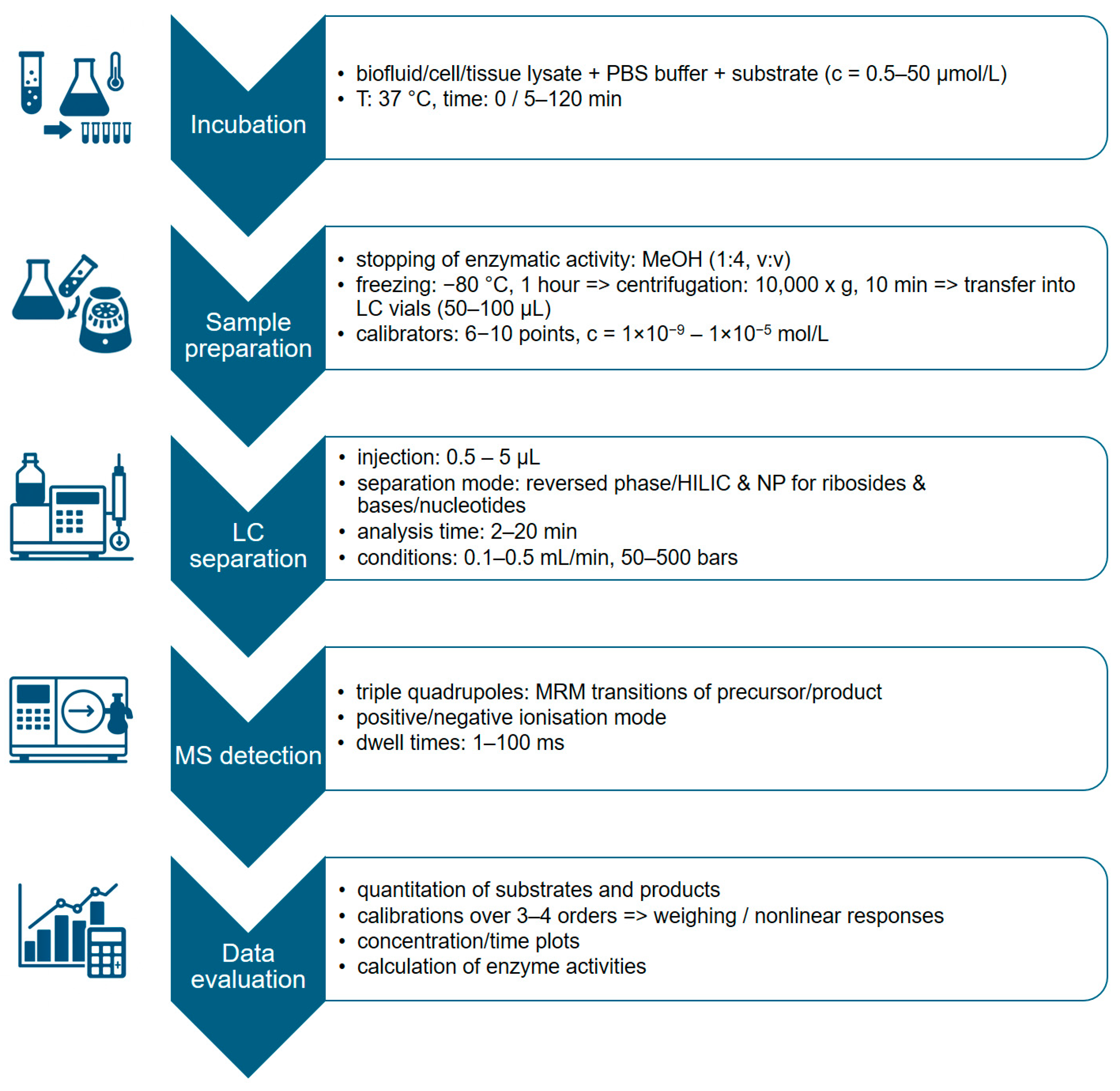 Ijms 26 08045 g009 Ijms 26 08045 g009