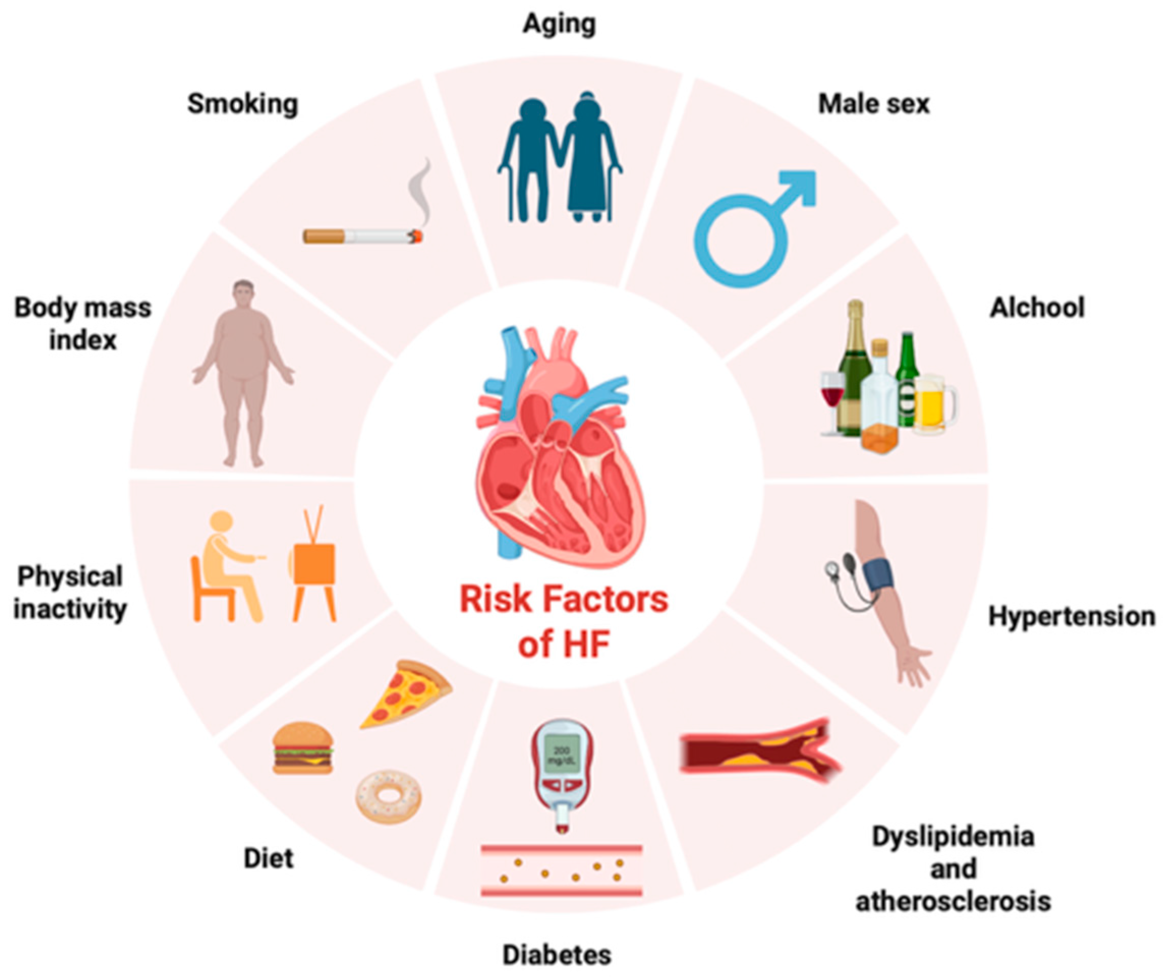 Ijms 26 08046 g001 Ijms 26 08046 g001