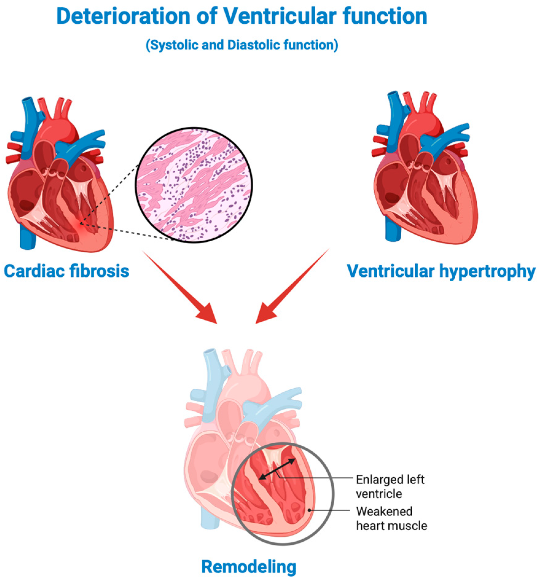 Ijms 26 08046 g002 Ijms 26 08046 g002