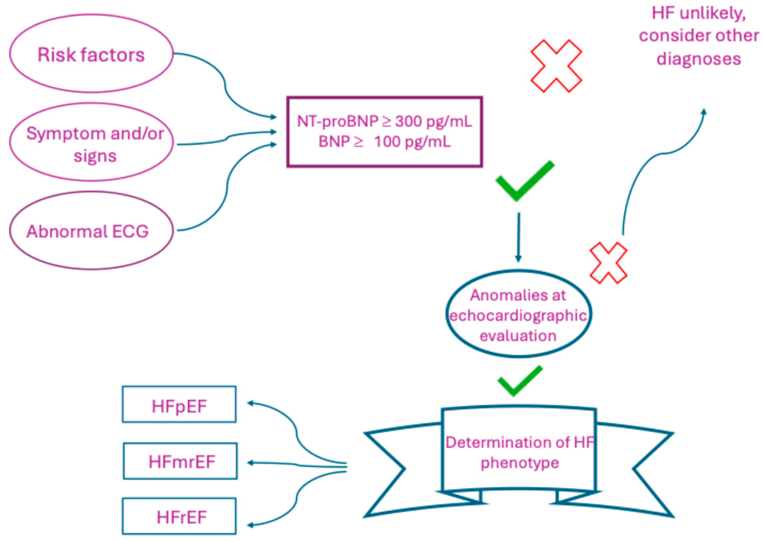 Ijms 26 08046 g004 Ijms 26 08046 g004