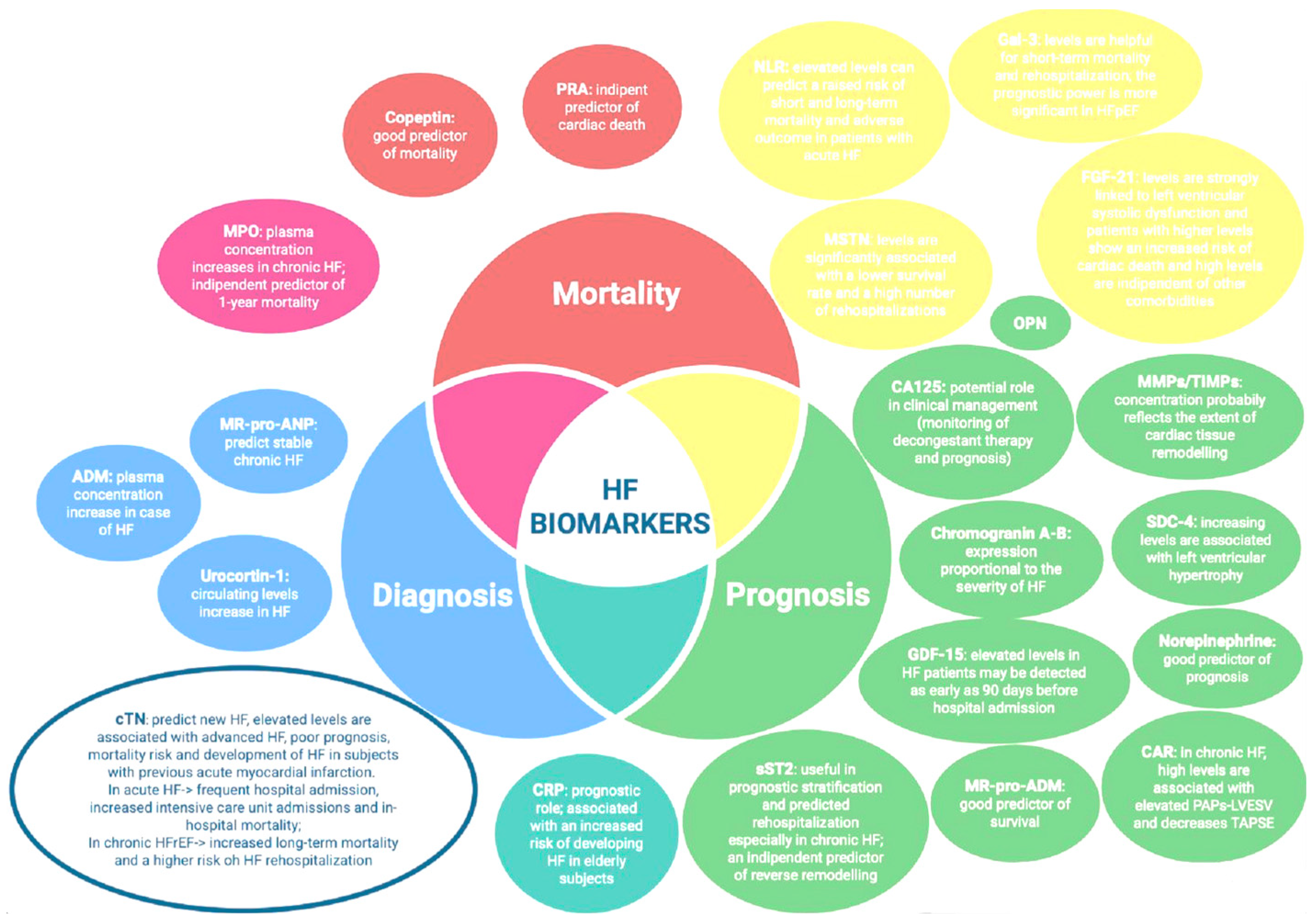 Ijms 26 08046 g005 Ijms 26 08046 g005