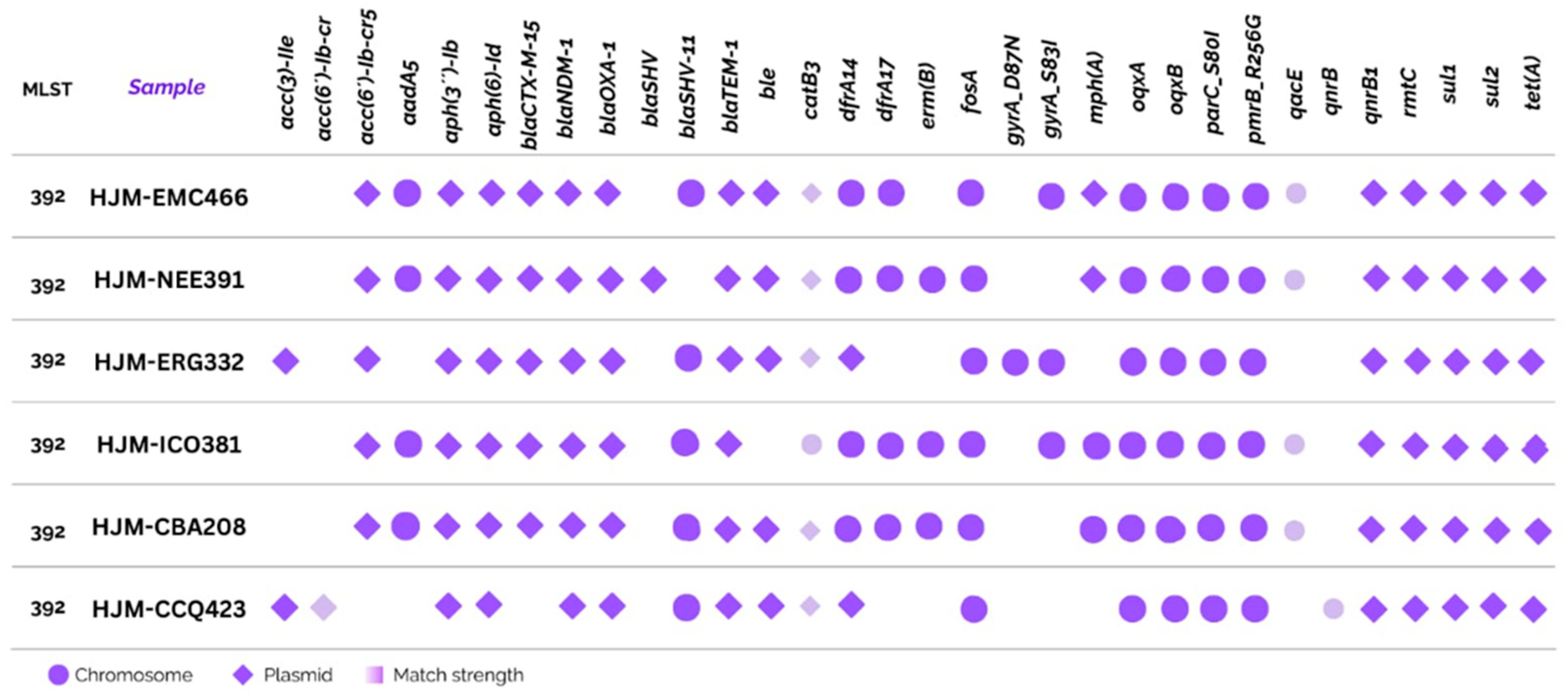 Ijms 26 08047 g001 Ijms 26 08047 g001