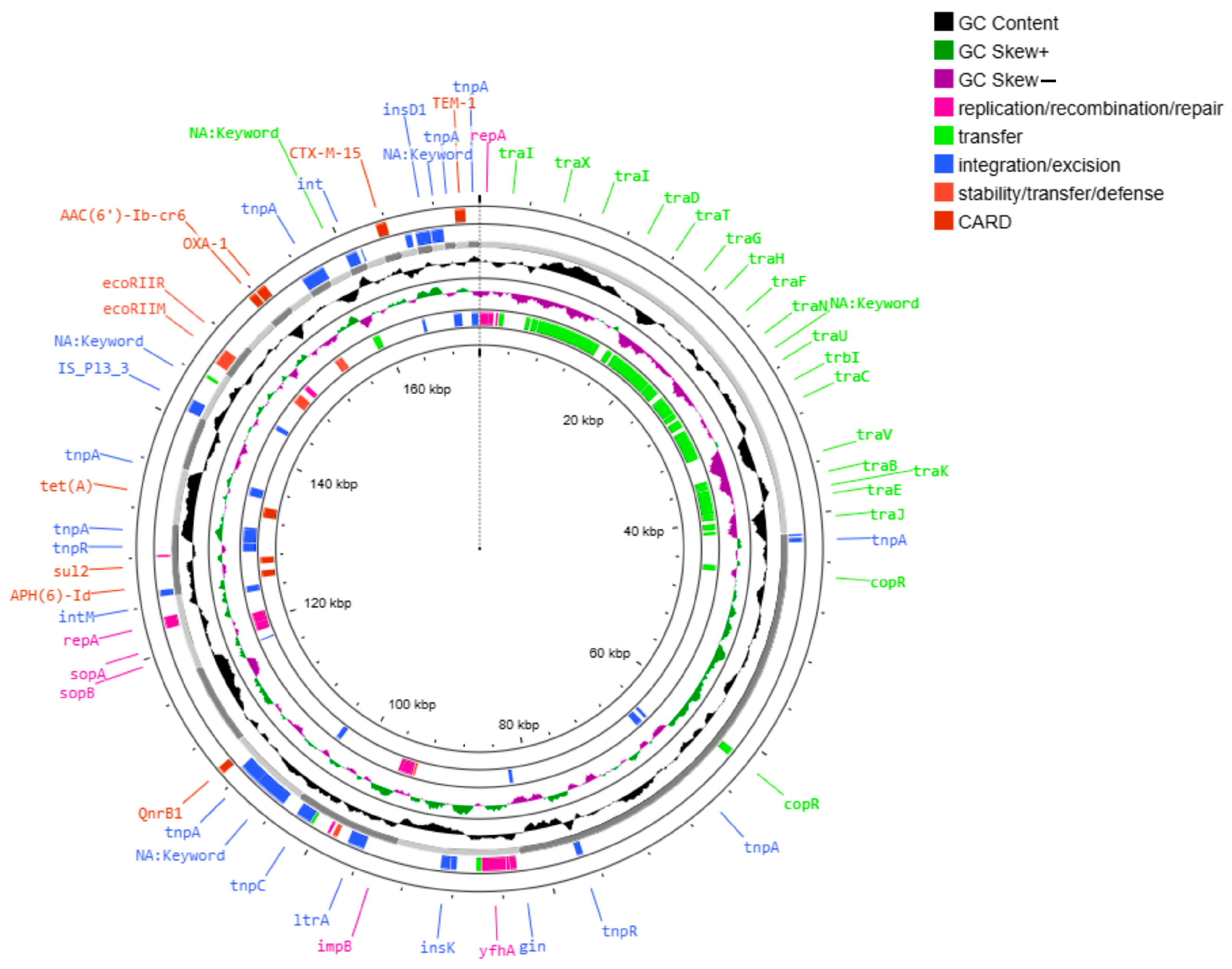 Ijms 26 08047 g003 Ijms 26 08047 g003