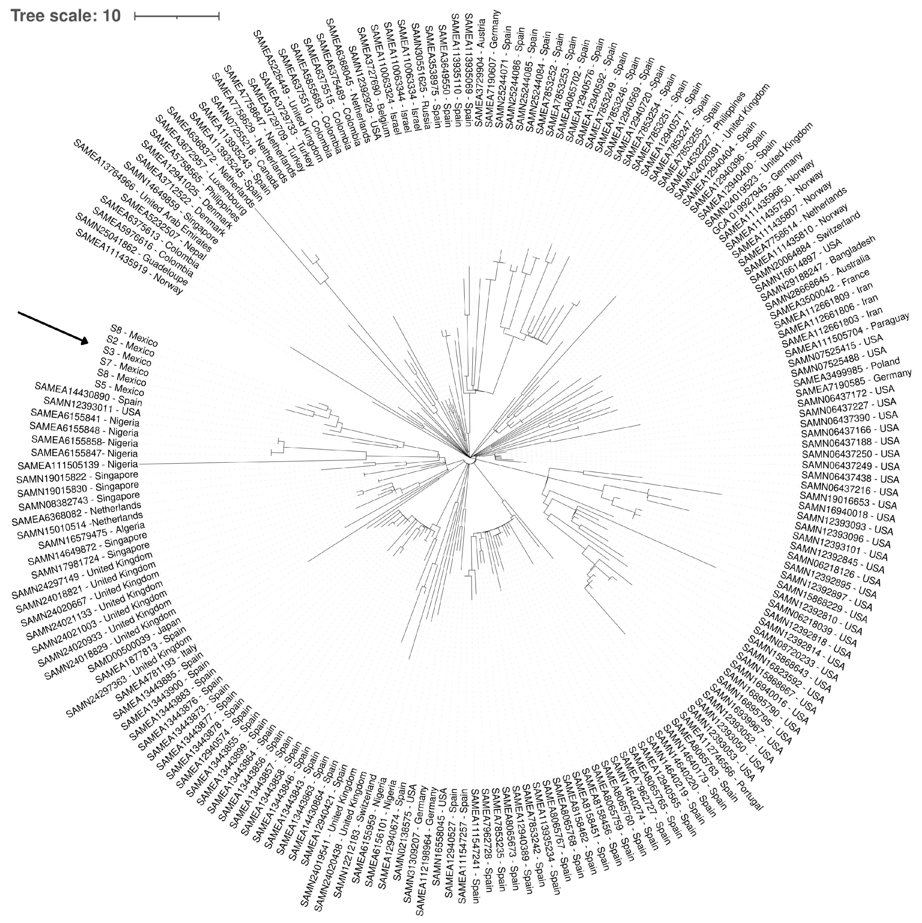 Ijms 26 08047 g007 Ijms 26 08047 g007