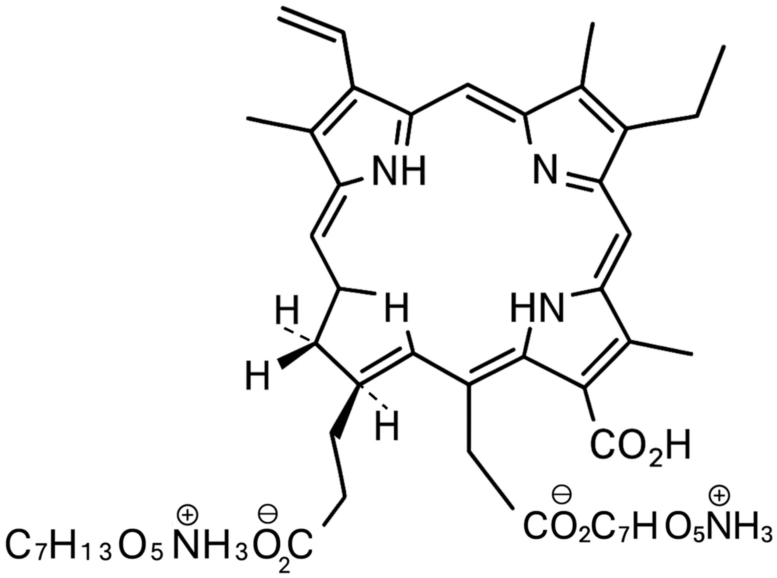 Ijms 26 08049 g001 Ijms 26 08049 g001