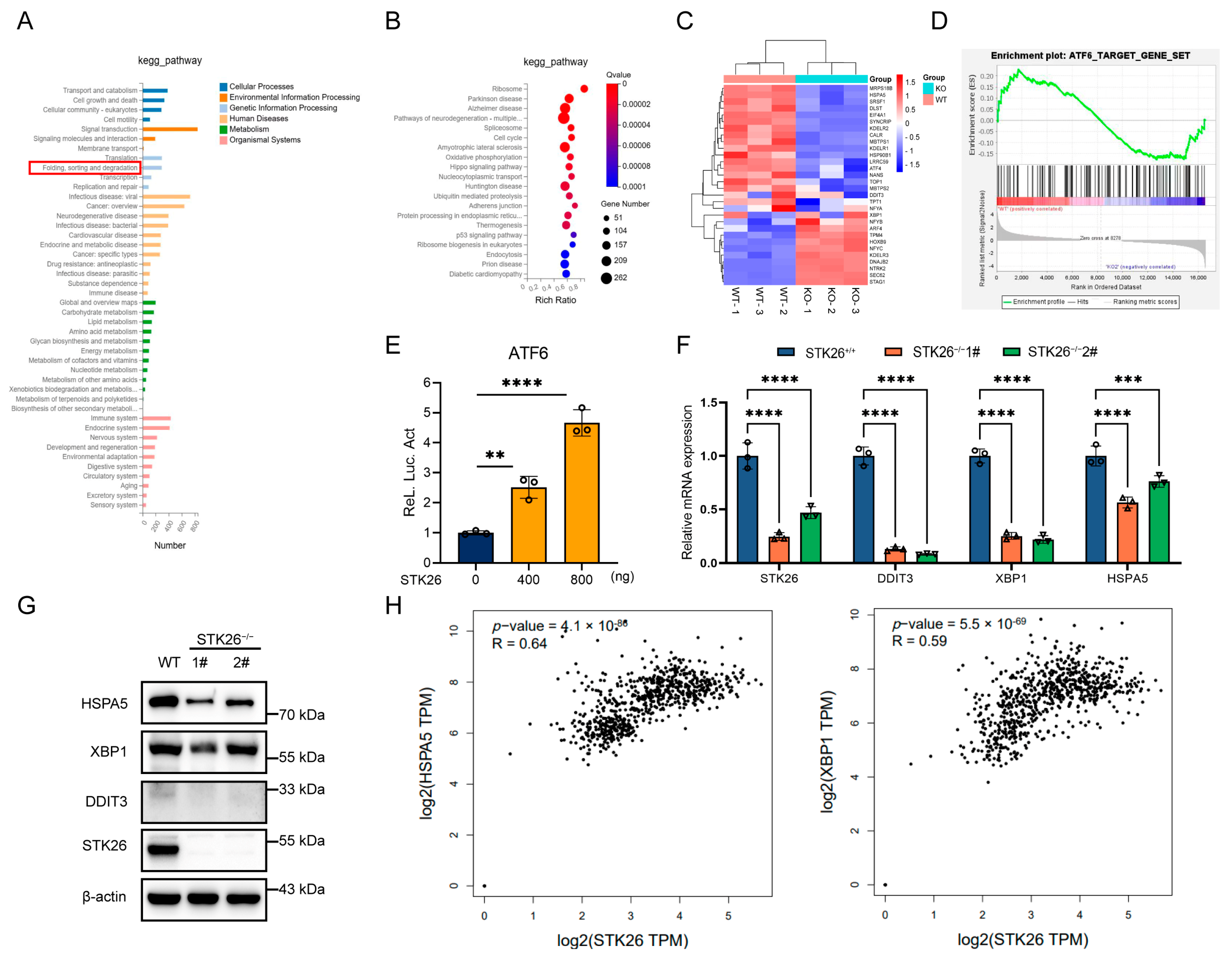 Ijms 26 08052 g004 Ijms 26 08052 g004