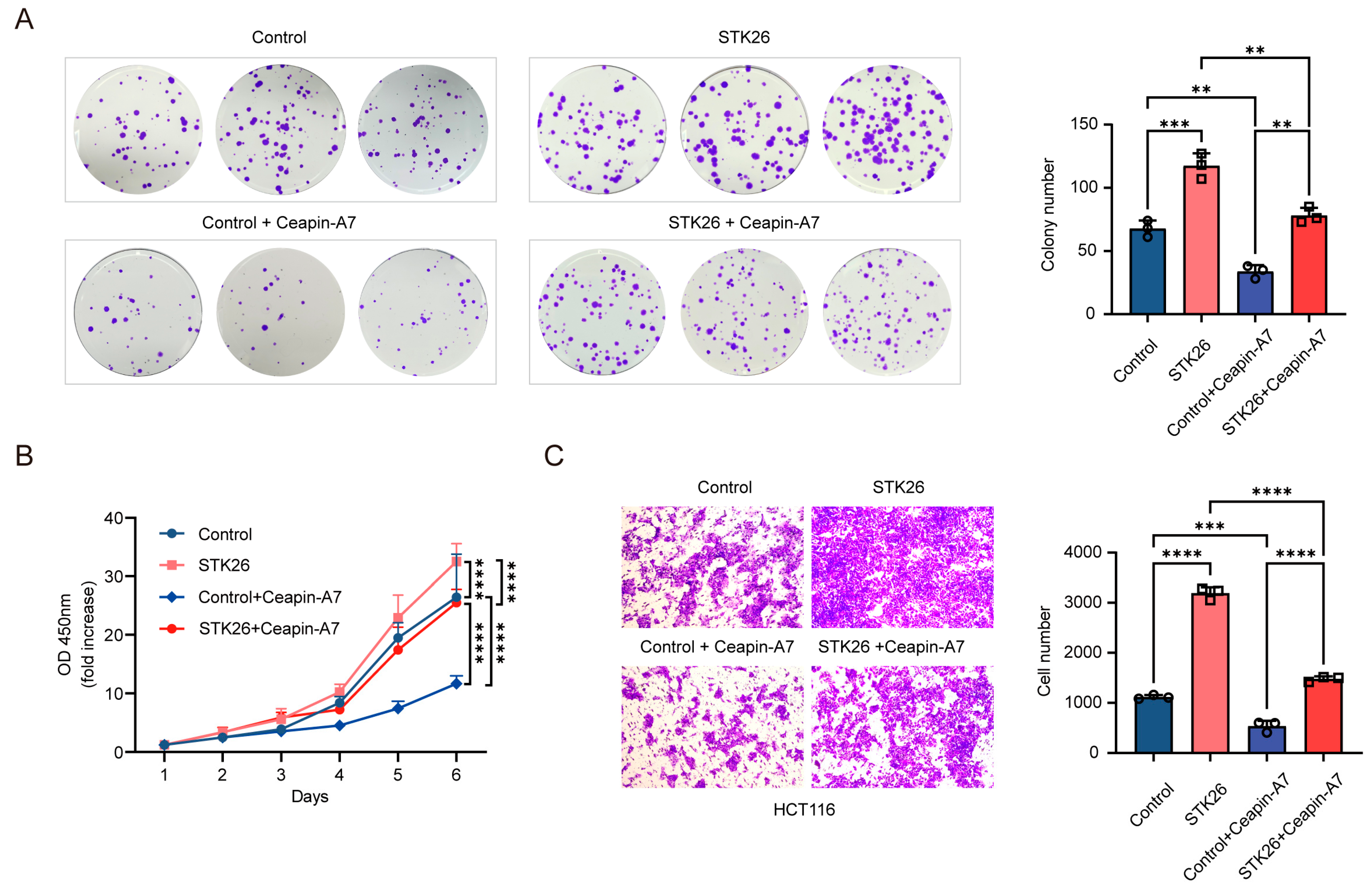 Ijms 26 08052 g006 Ijms 26 08052 g006