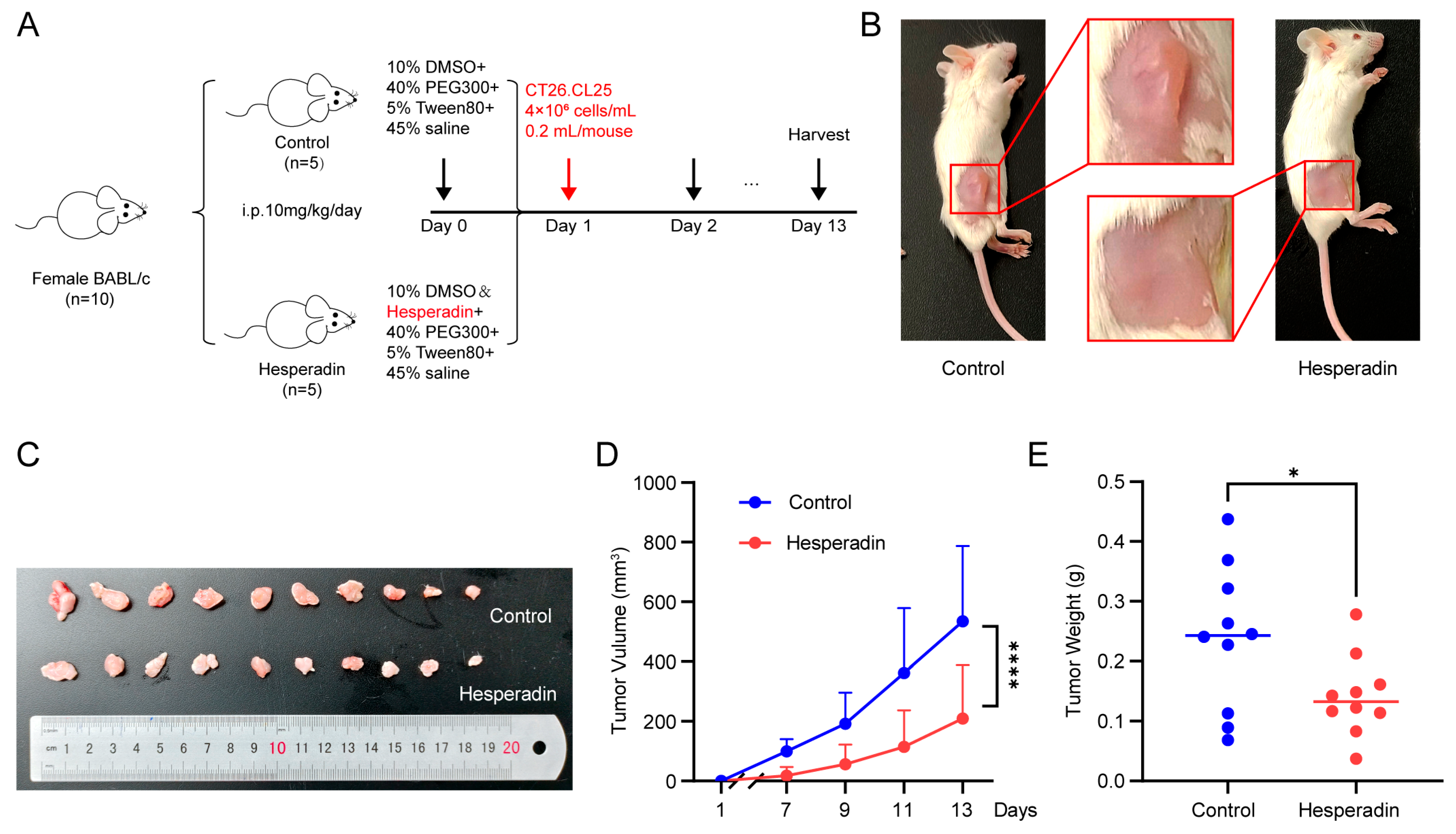 Ijms 26 08052 g007 Ijms 26 08052 g007