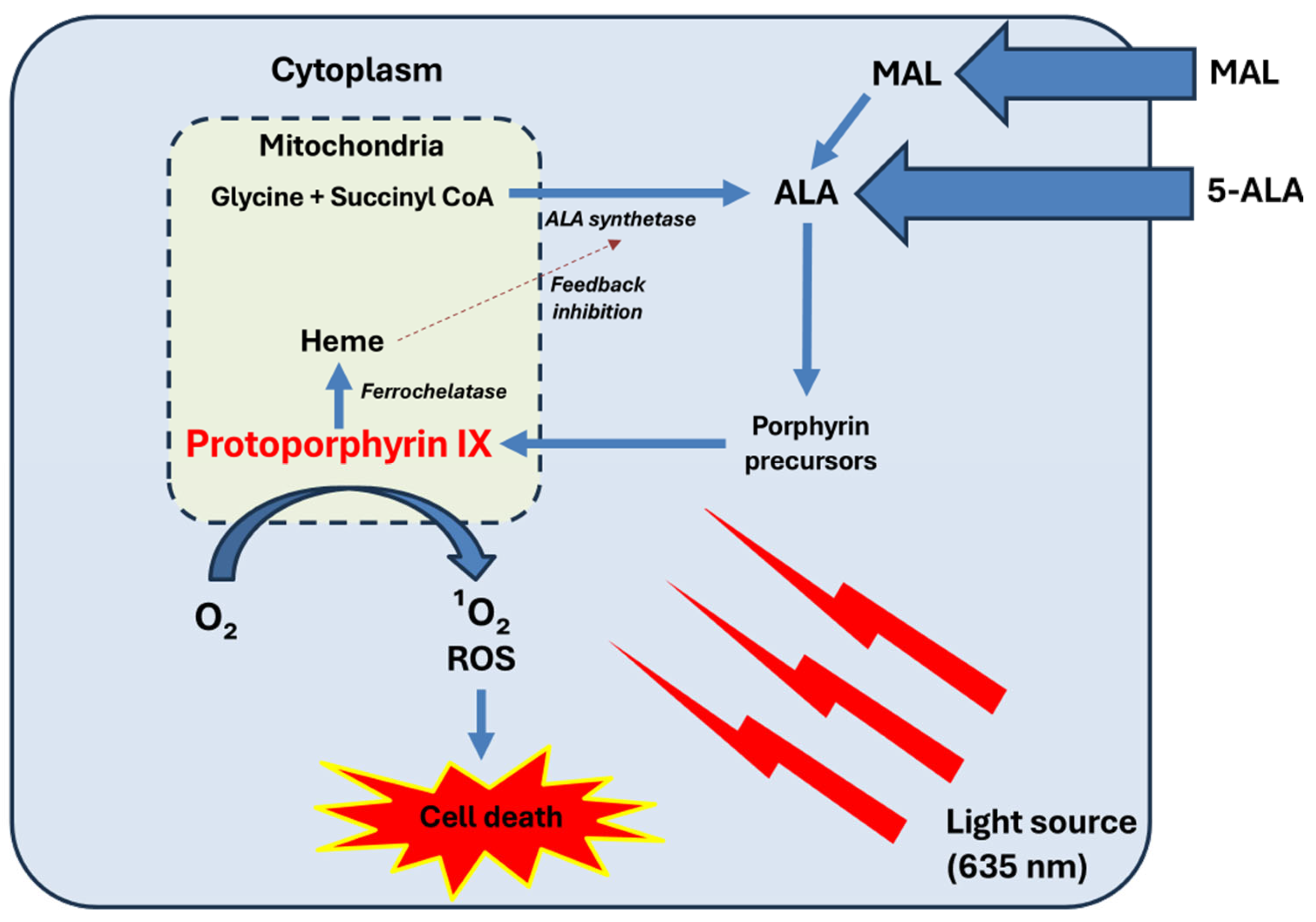 Ijms 26 08054 g001 Ijms 26 08054 g001