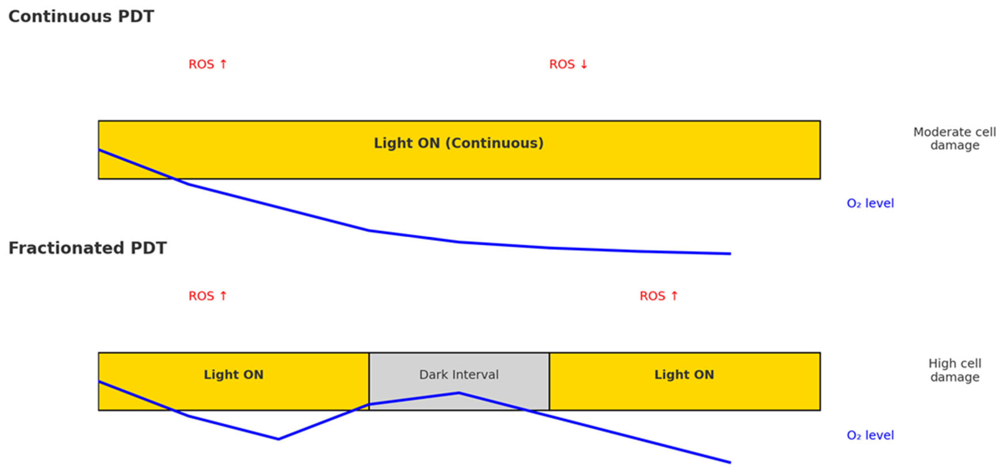 Ijms 26 08054 g002 Ijms 26 08054 g002
