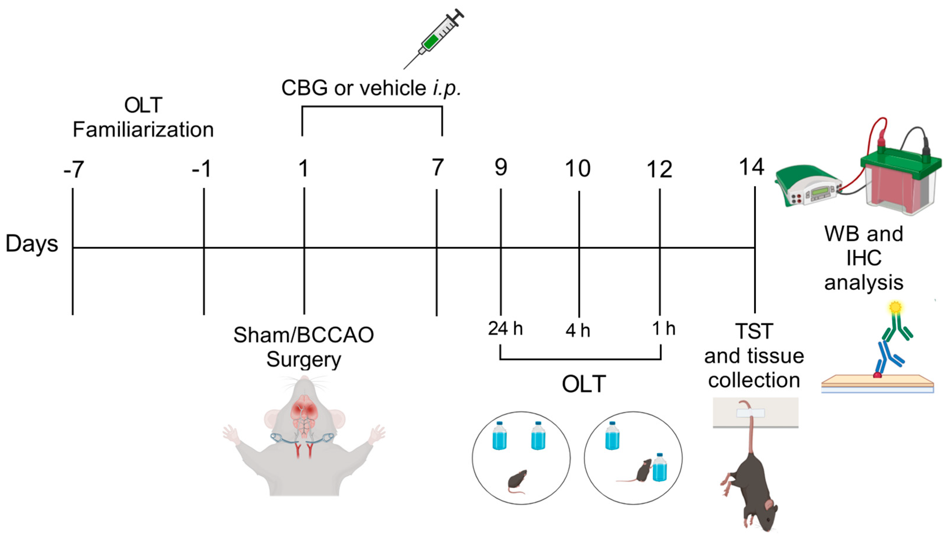 Ijms 26 08056 g005 Ijms 26 08056 g005