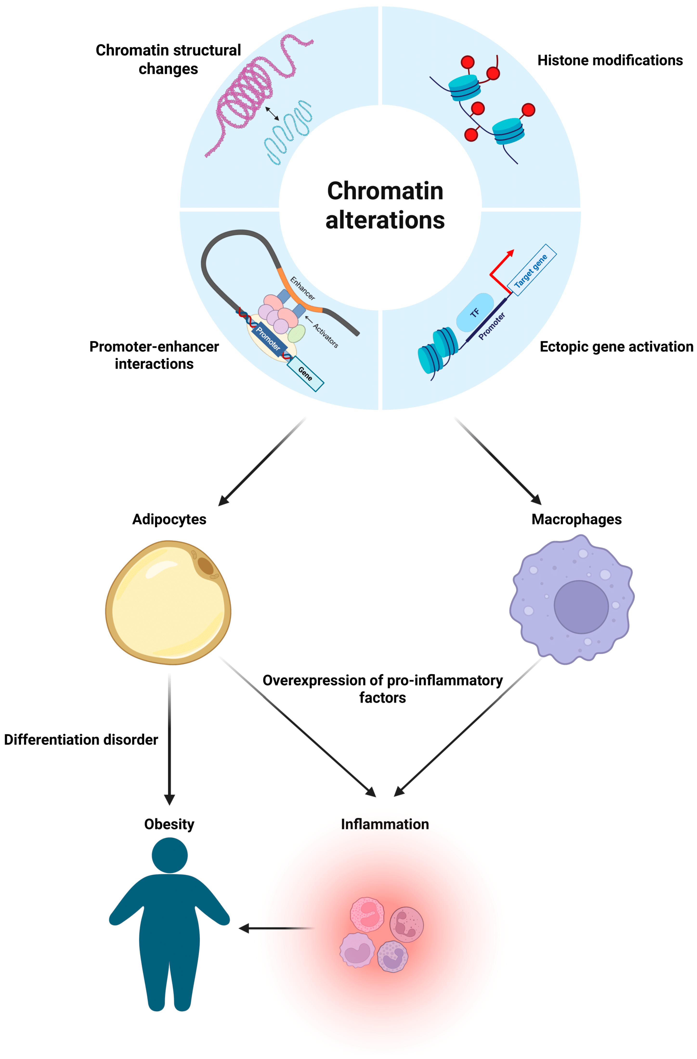Ijms 26 08067 g002 Ijms 26 08067 g002