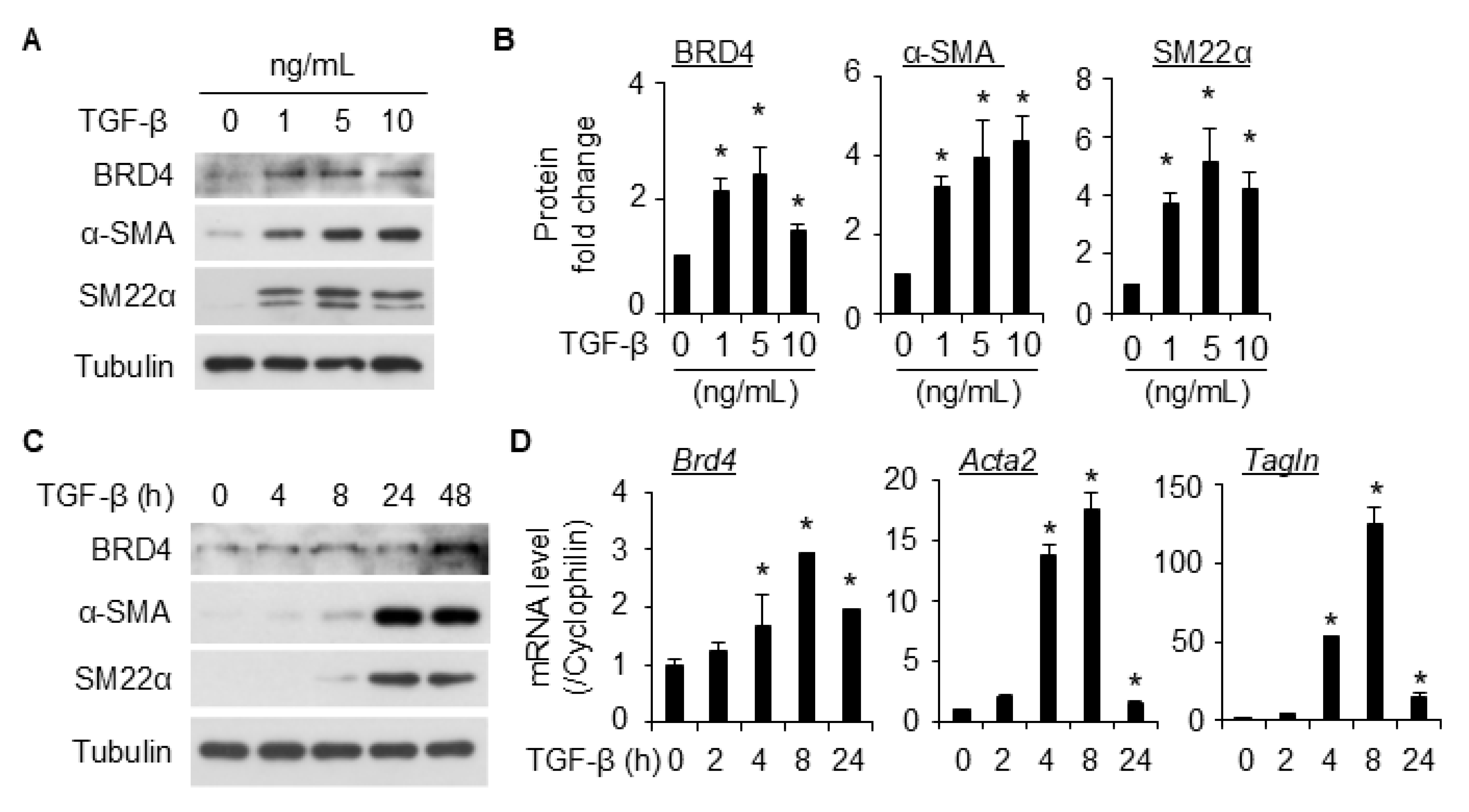 Ijms 26 08074 g001 Ijms 26 08074 g001
