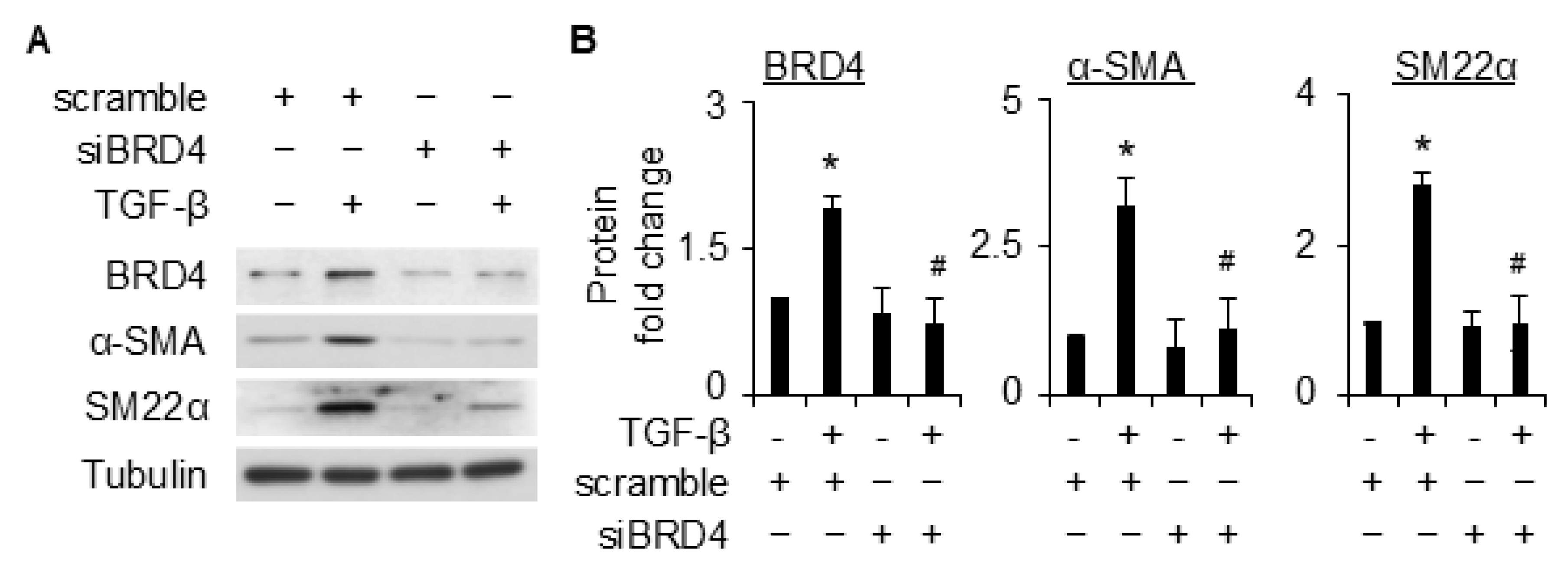 Ijms 26 08074 g002 Ijms 26 08074 g002