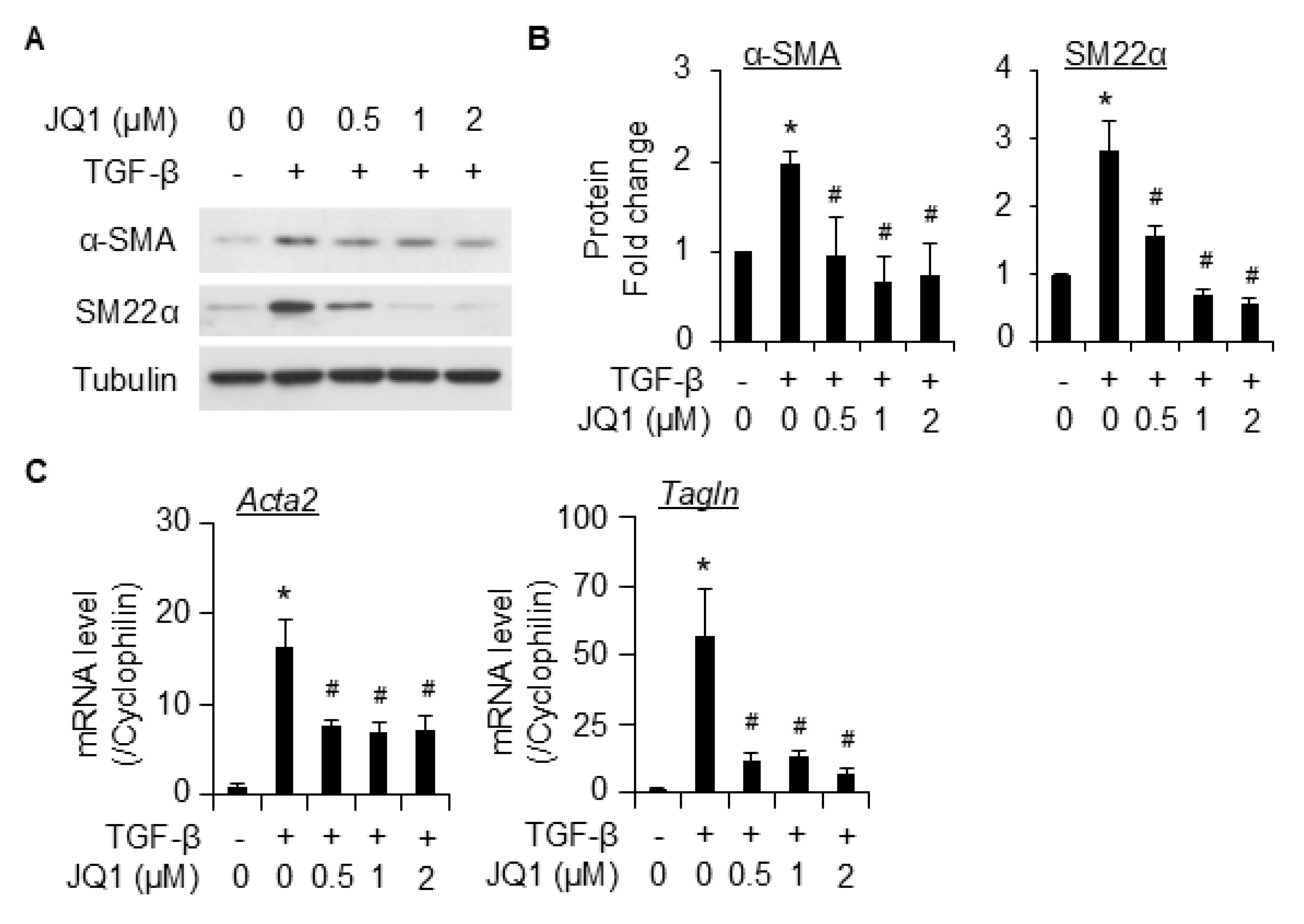 Ijms 26 08074 g003 Ijms 26 08074 g003