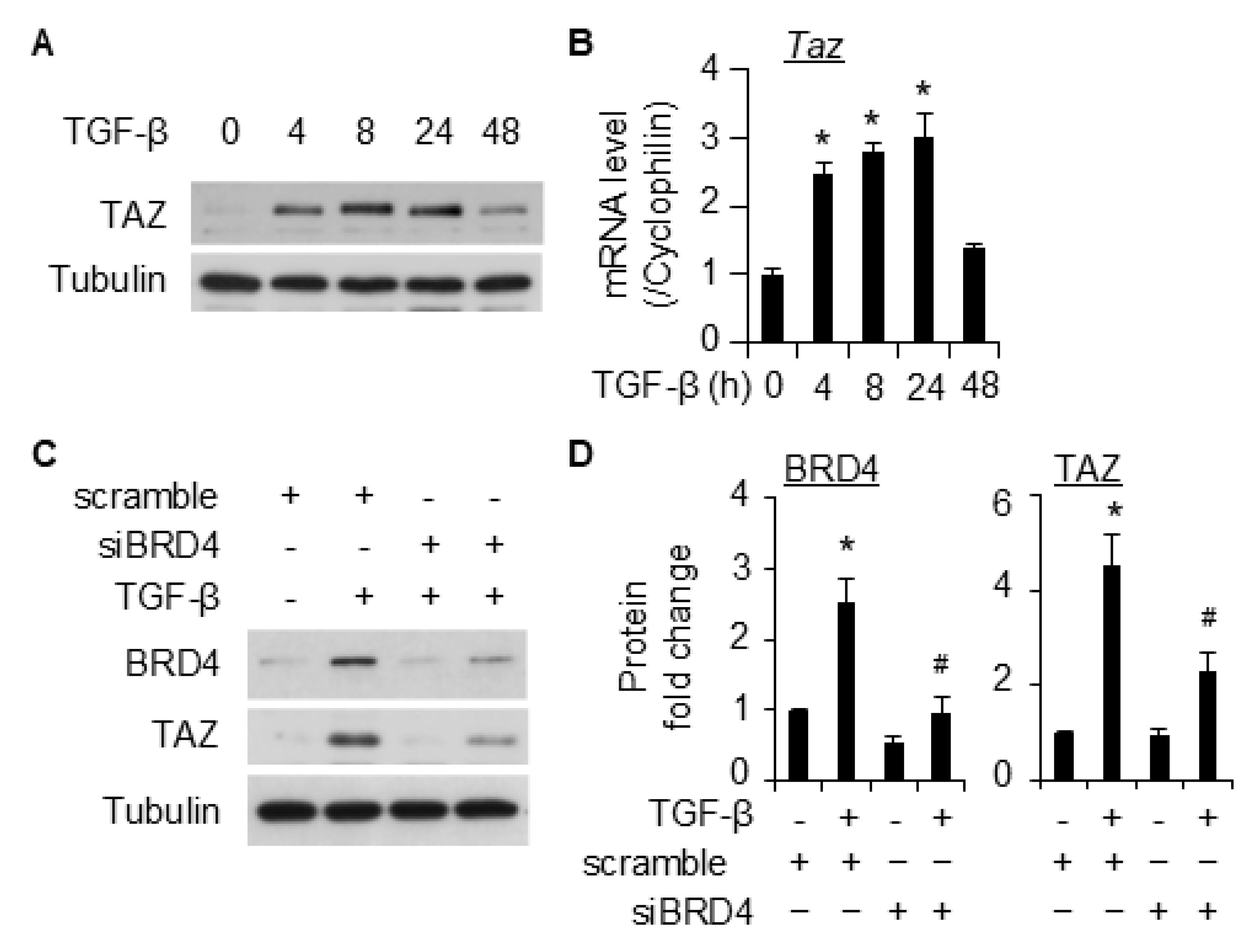 Ijms 26 08074 g005 Ijms 26 08074 g005