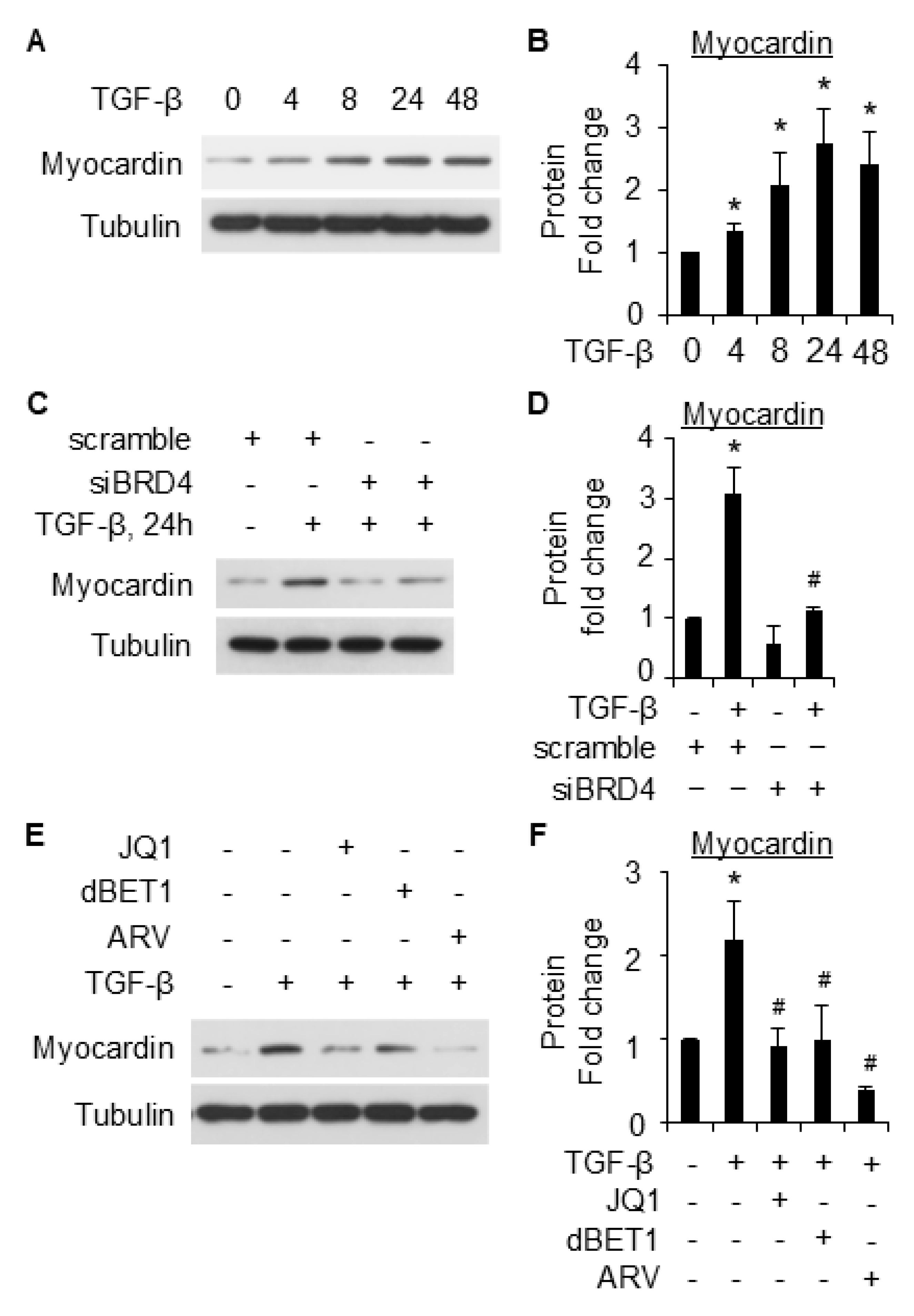 Ijms 26 08074 g007 Ijms 26 08074 g007