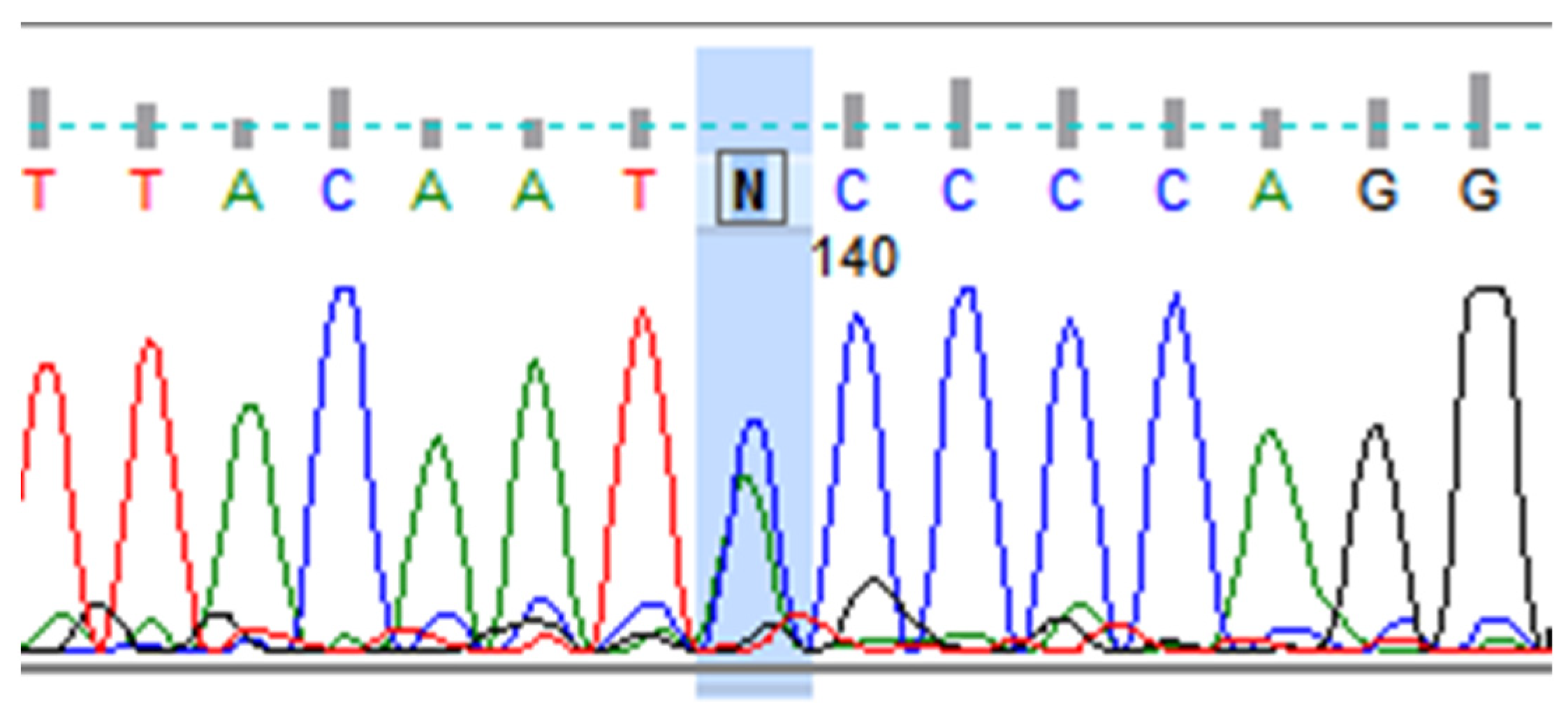 Ijms 26 08083 g001 Ijms 26 08083 g001