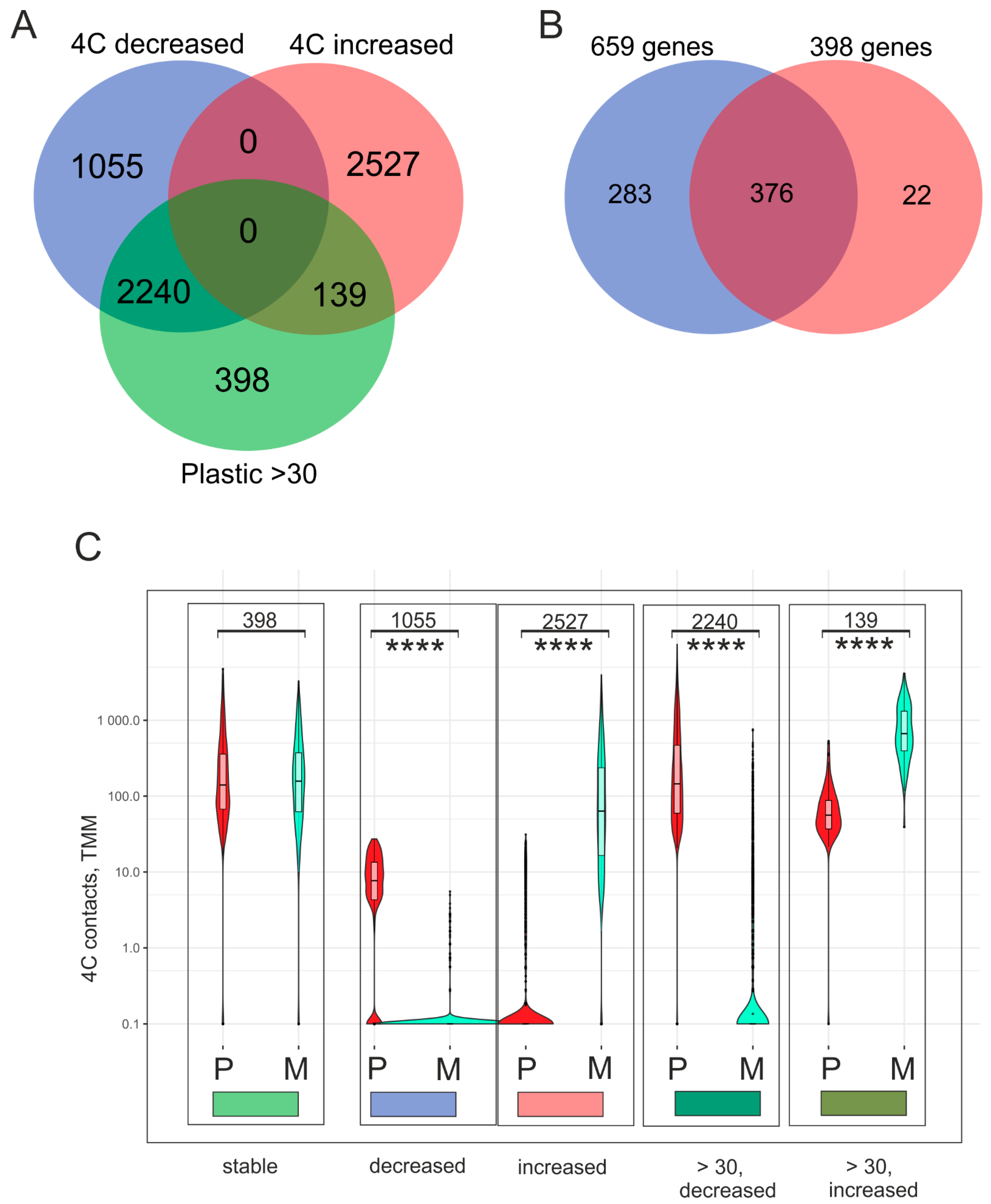 Ijms 26 08085 g004 Ijms 26 08085 g004