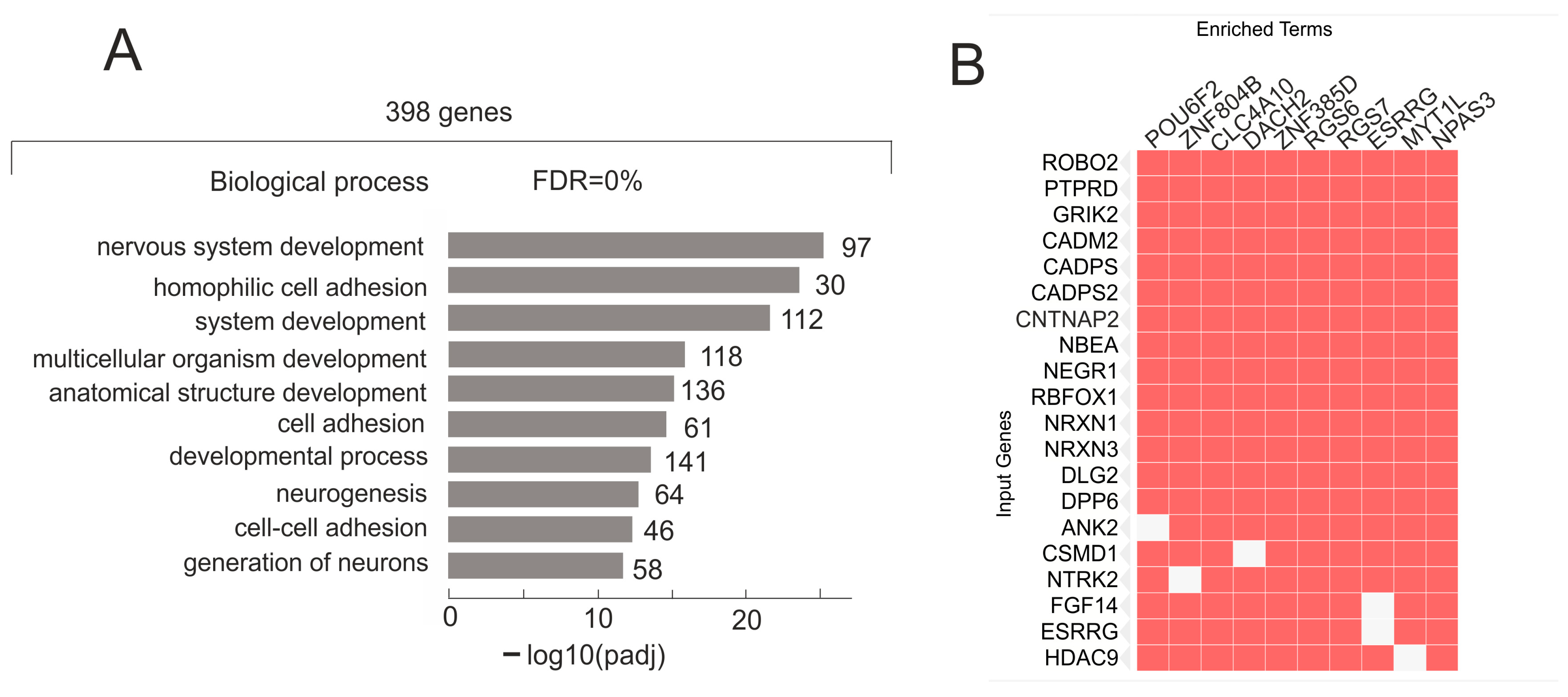 Ijms 26 08085 g005 Ijms 26 08085 g005