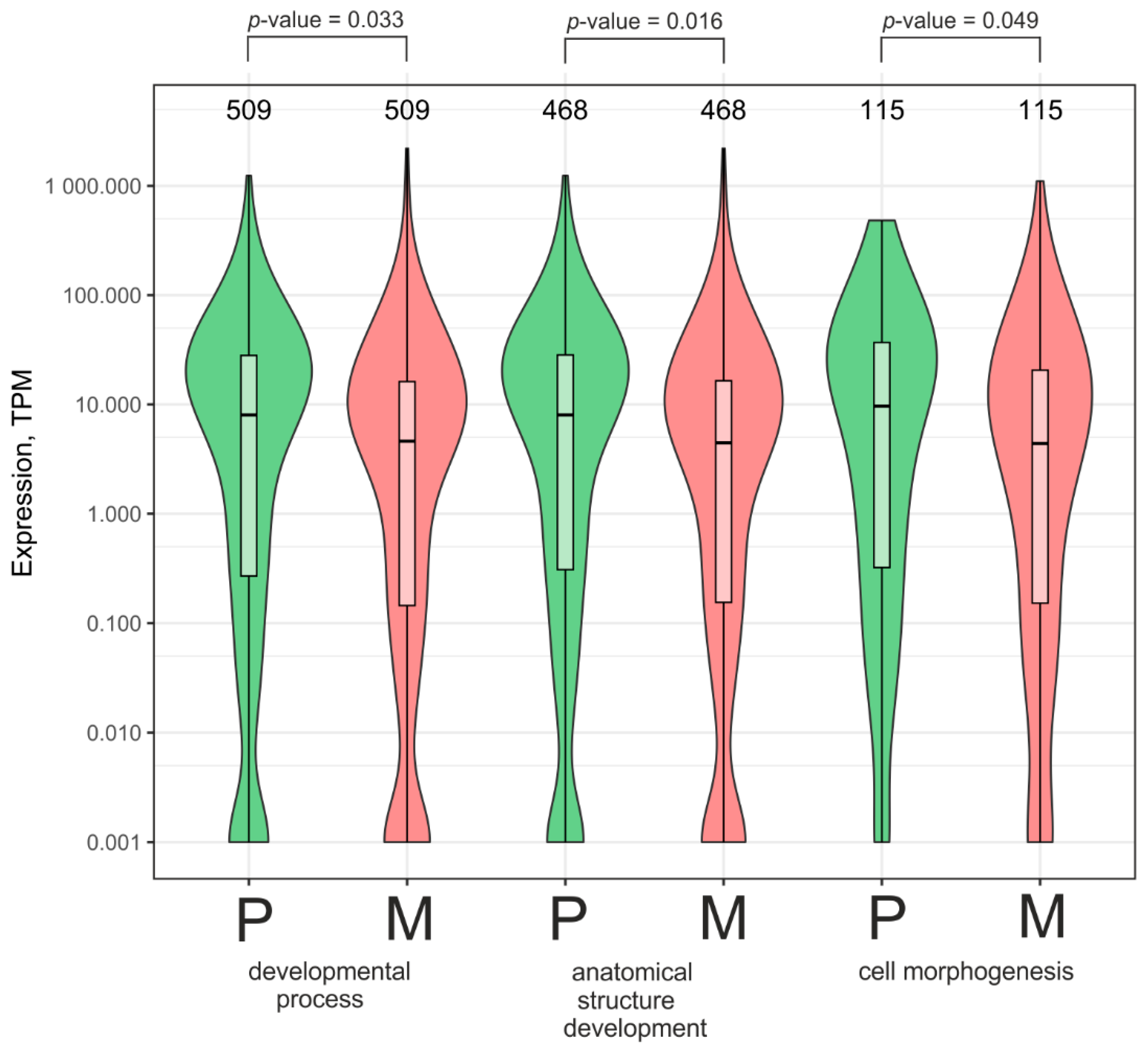 Ijms 26 08085 g007 Ijms 26 08085 g007