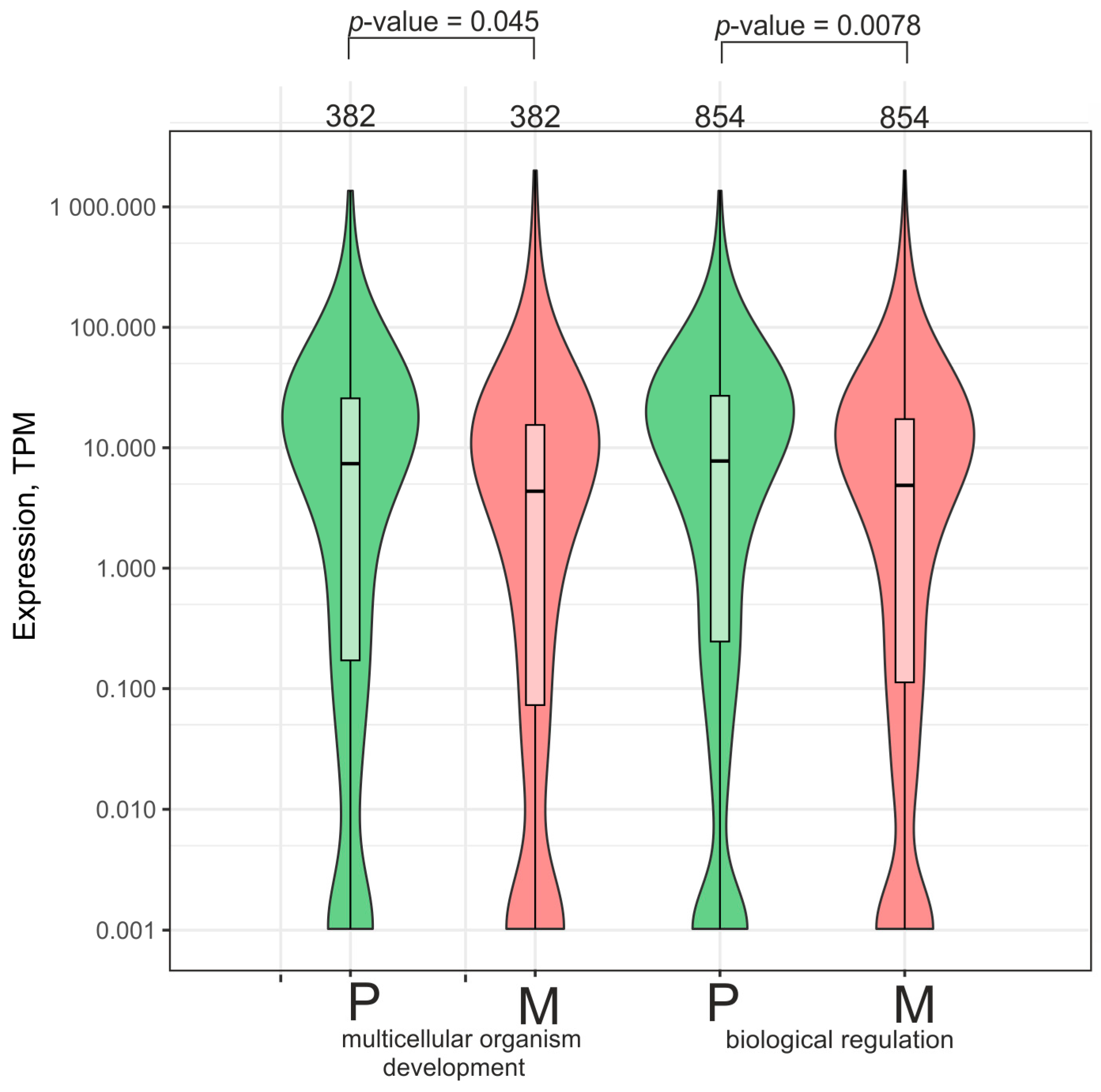 Ijms 26 08085 g008 Ijms 26 08085 g008