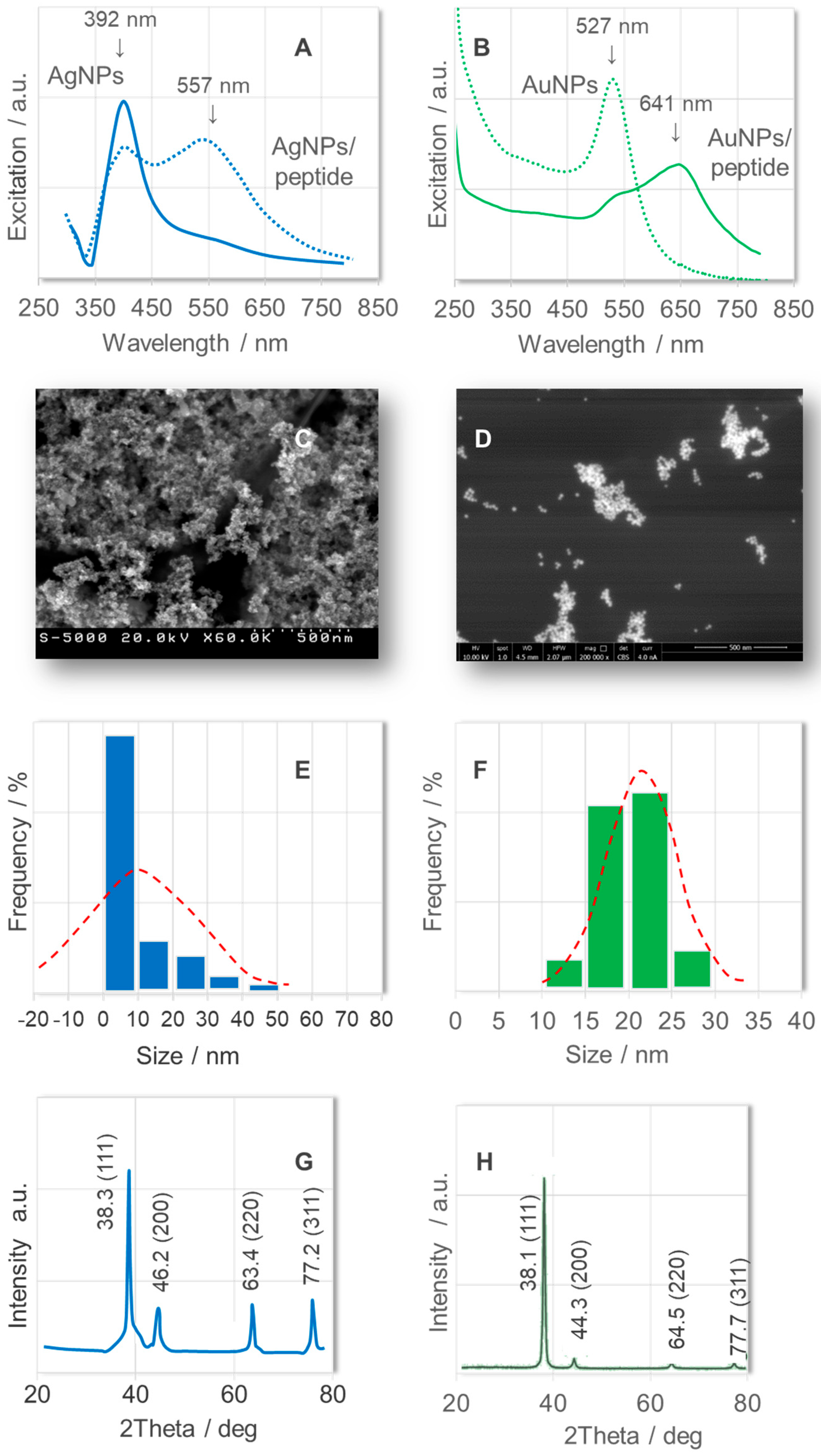 Ijms 26 08089 g001 Ijms 26 08089 g001