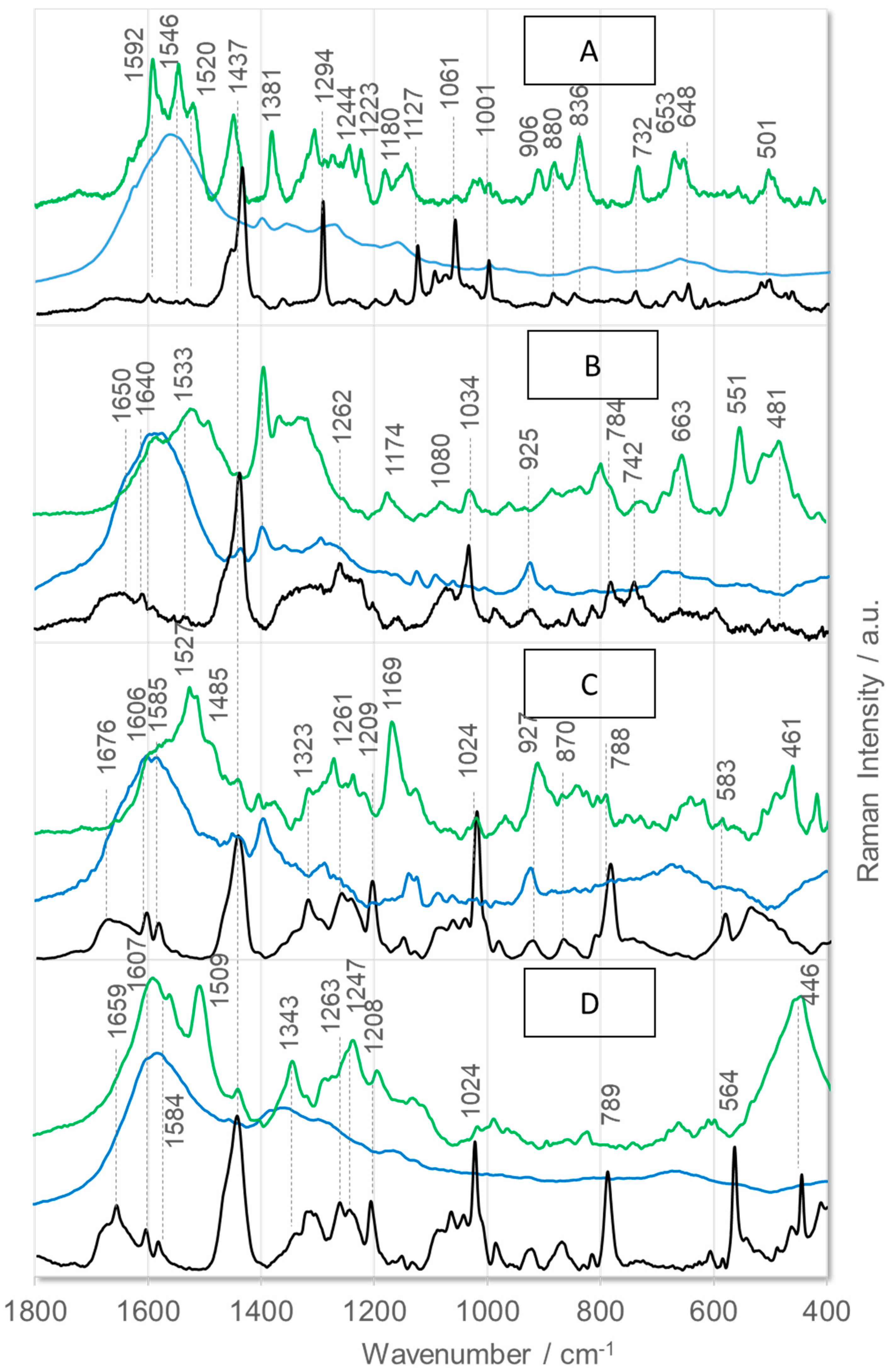 Ijms 26 08089 g002 Ijms 26 08089 g002