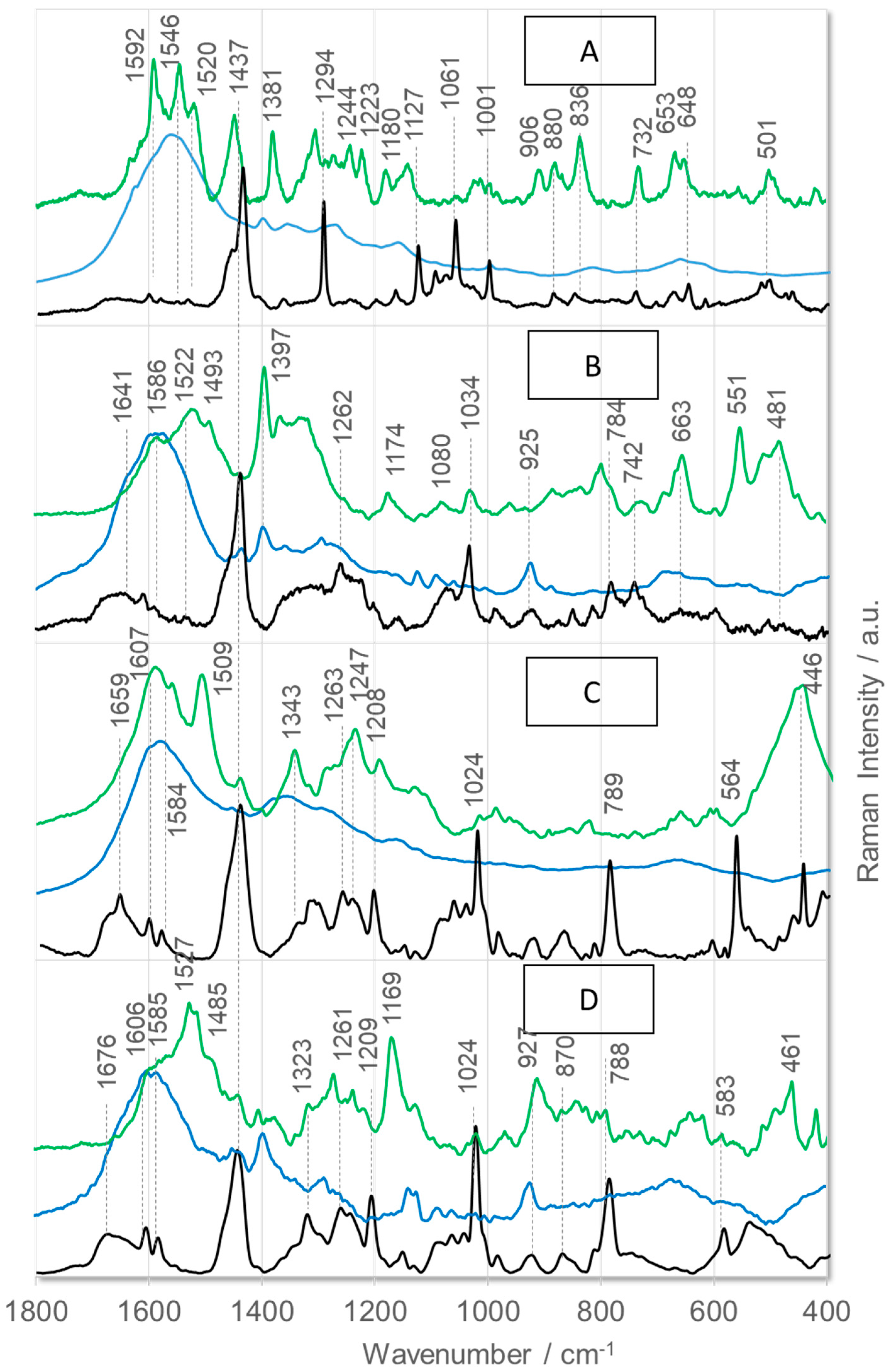 Ijms 26 08089 g003 Ijms 26 08089 g003