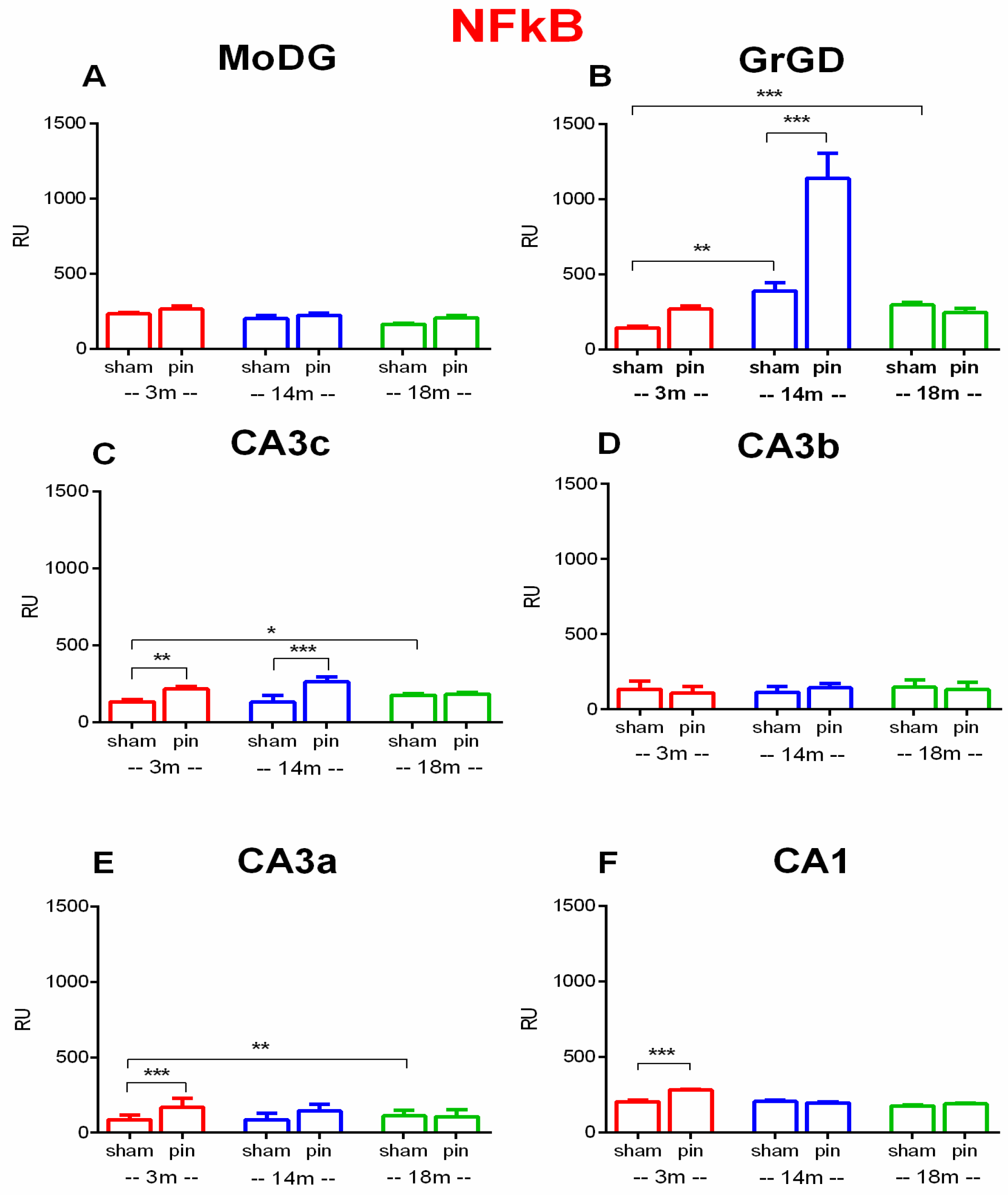 Ijms 26 08093 g006 Ijms 26 08093 g006