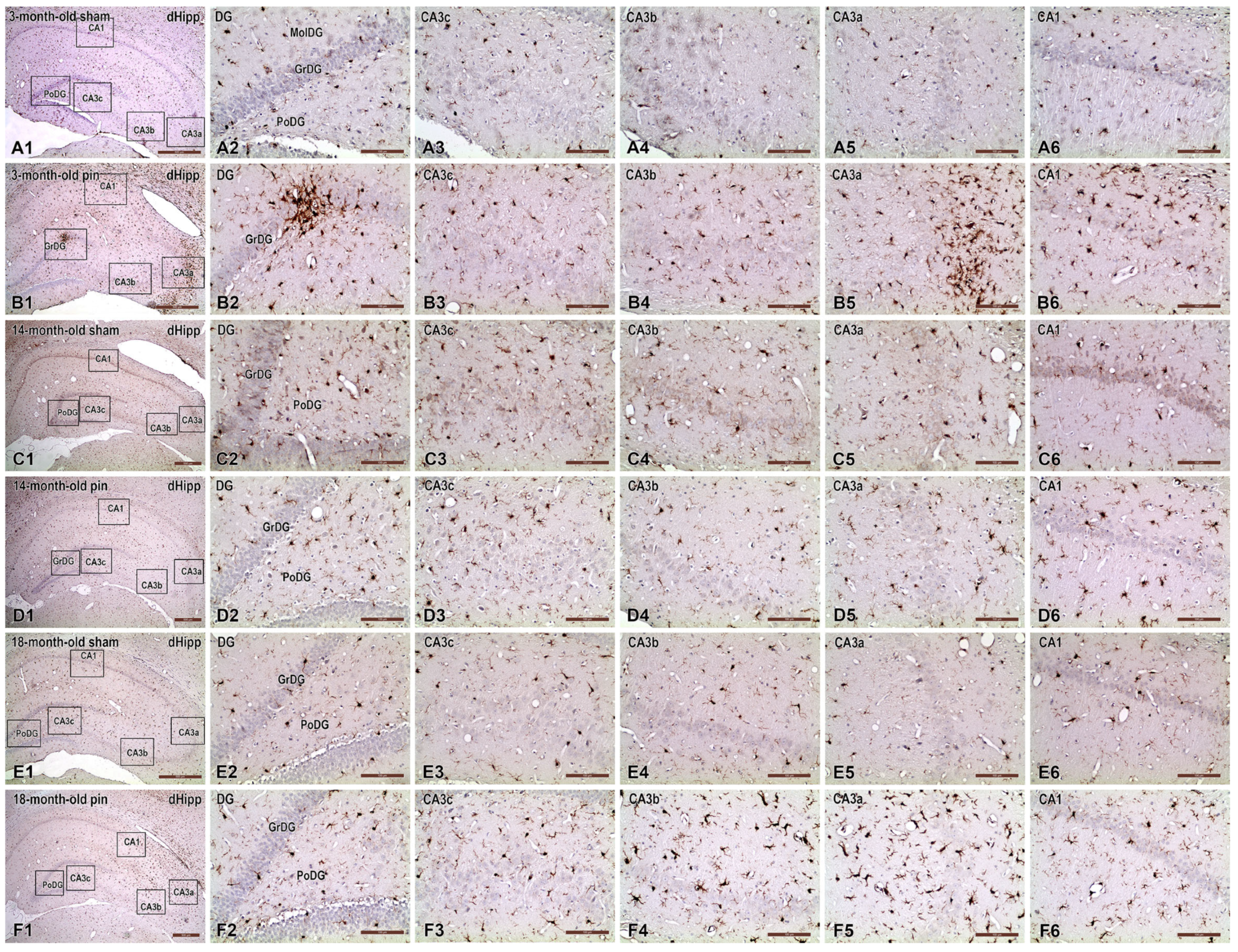 Ijms 26 08093 g007 Ijms 26 08093 g007