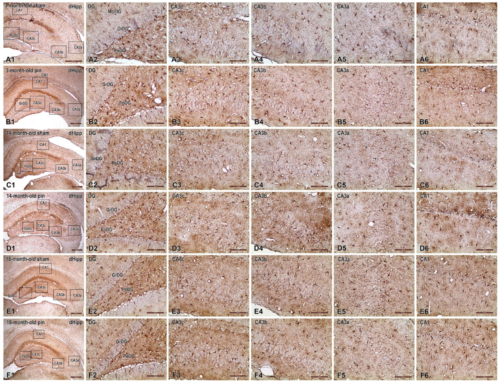 Ijms 26 08093 g009 Ijms 26 08093 g009