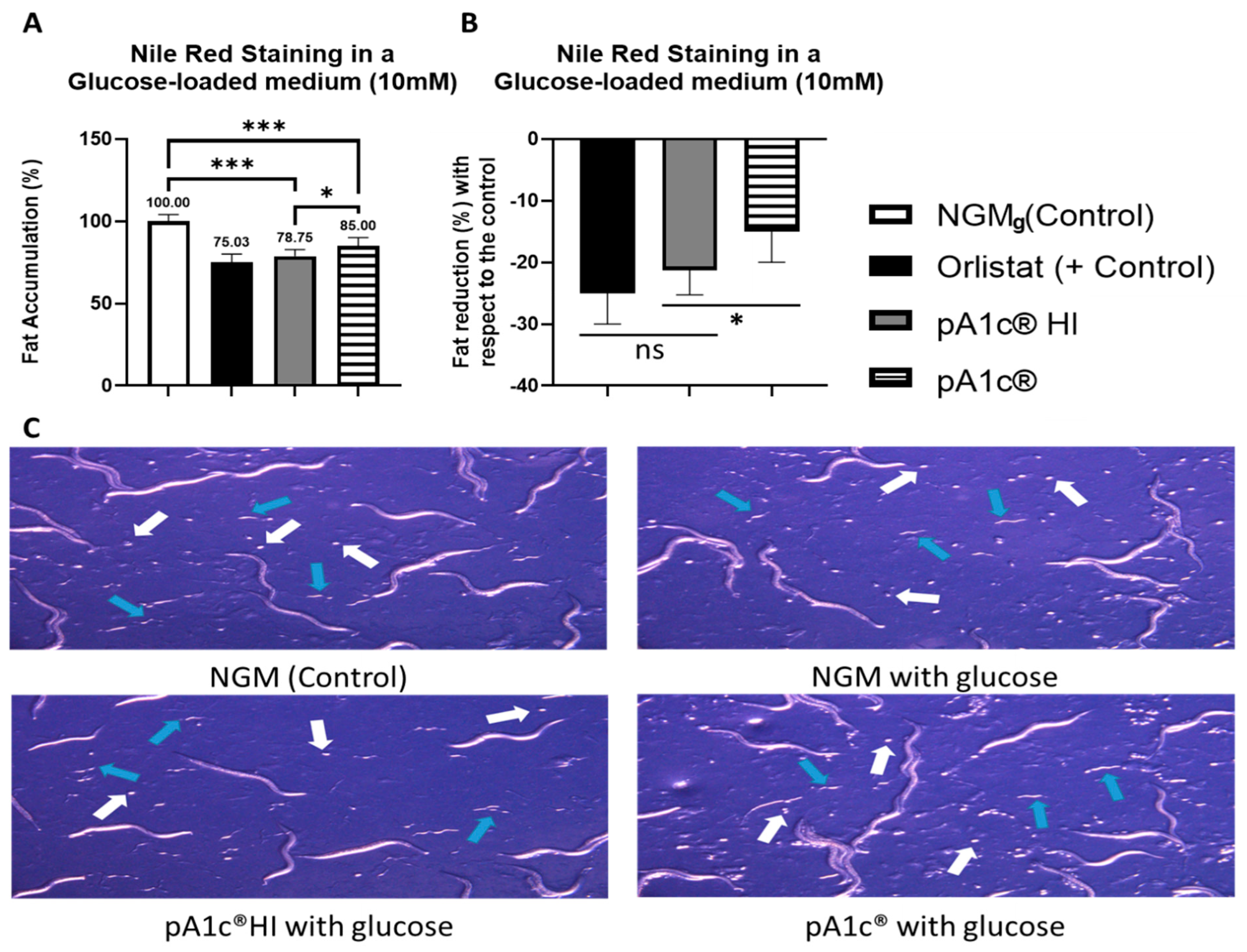 Ijms 26 08094 g001 Ijms 26 08094 g001